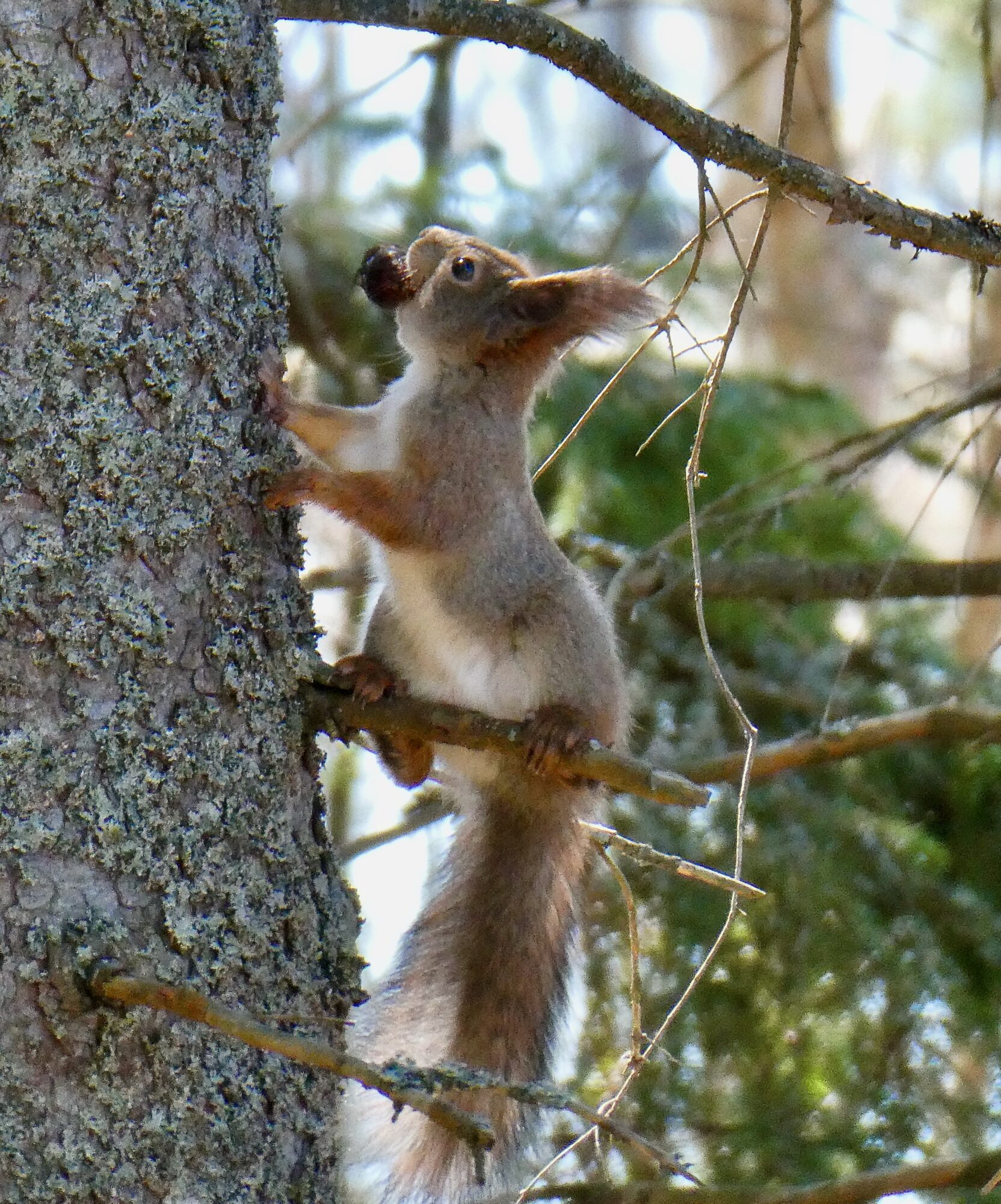 Valokuvaaja: Liisa Niiva-Korpela Valokuvaaja: Liisa Niiva-Korpela