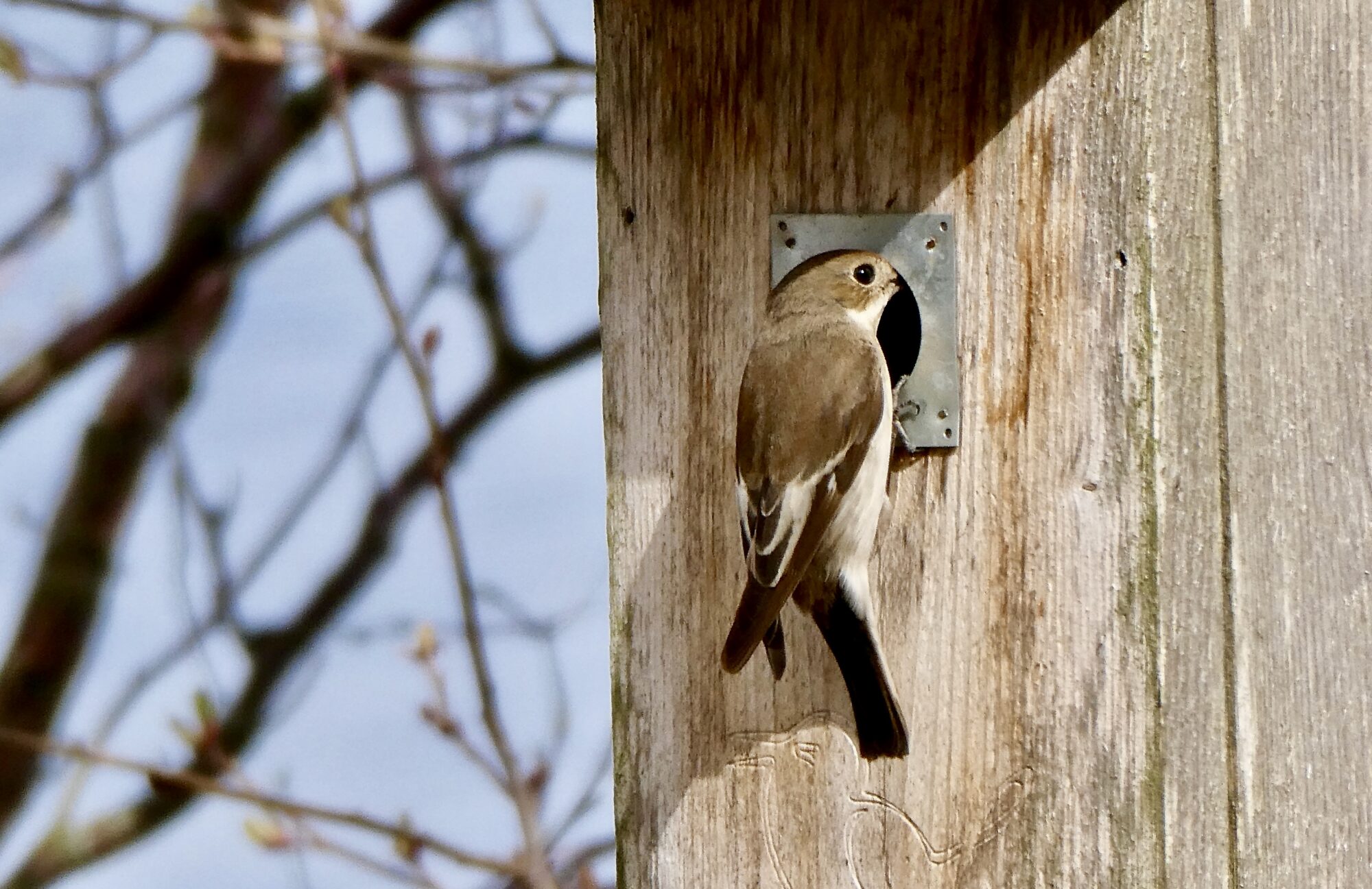 Valokuvaaja: Liisa Niiva-Korpela