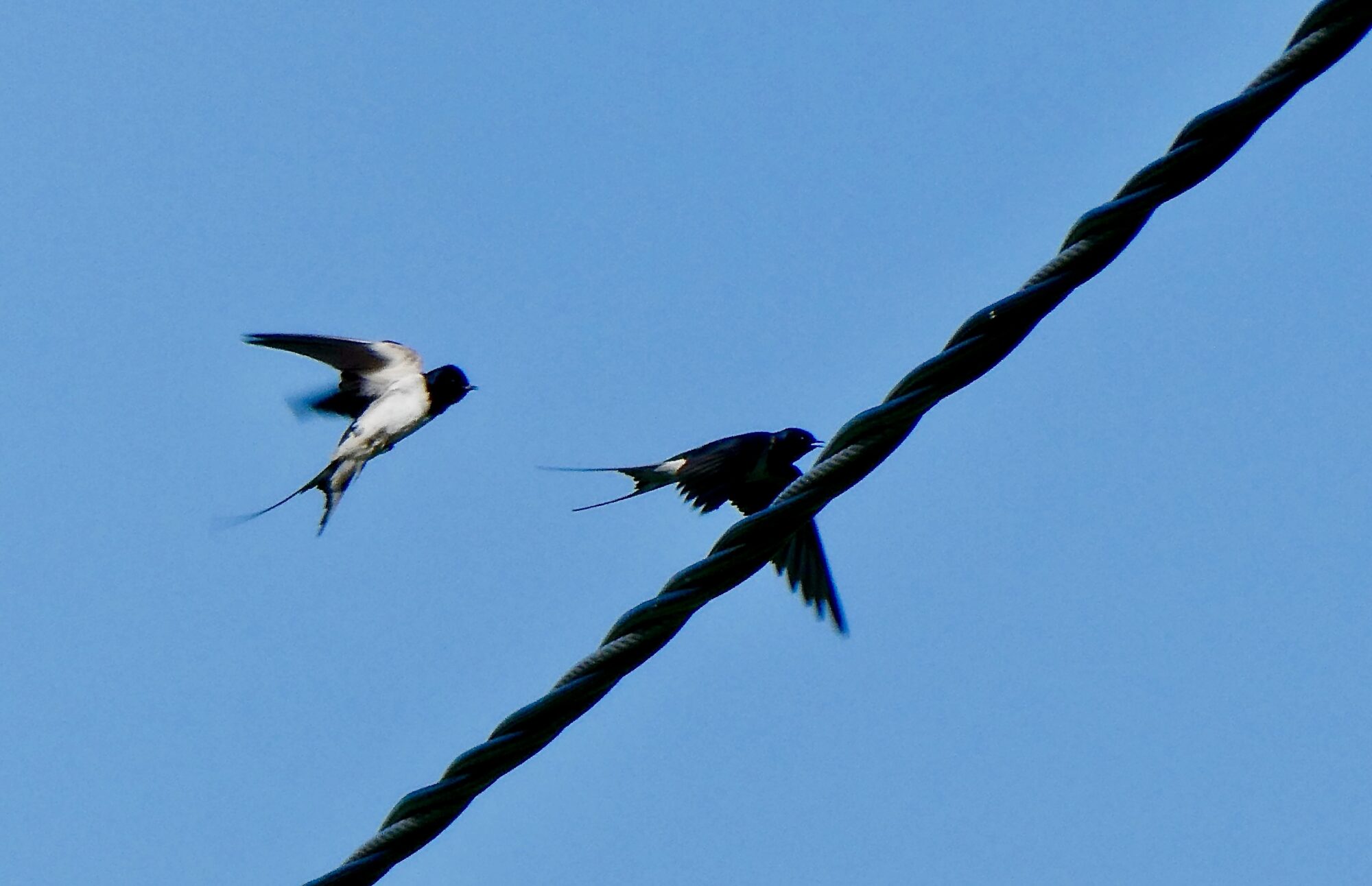 Valokuvaaja: Liisa Niiva-Korpela