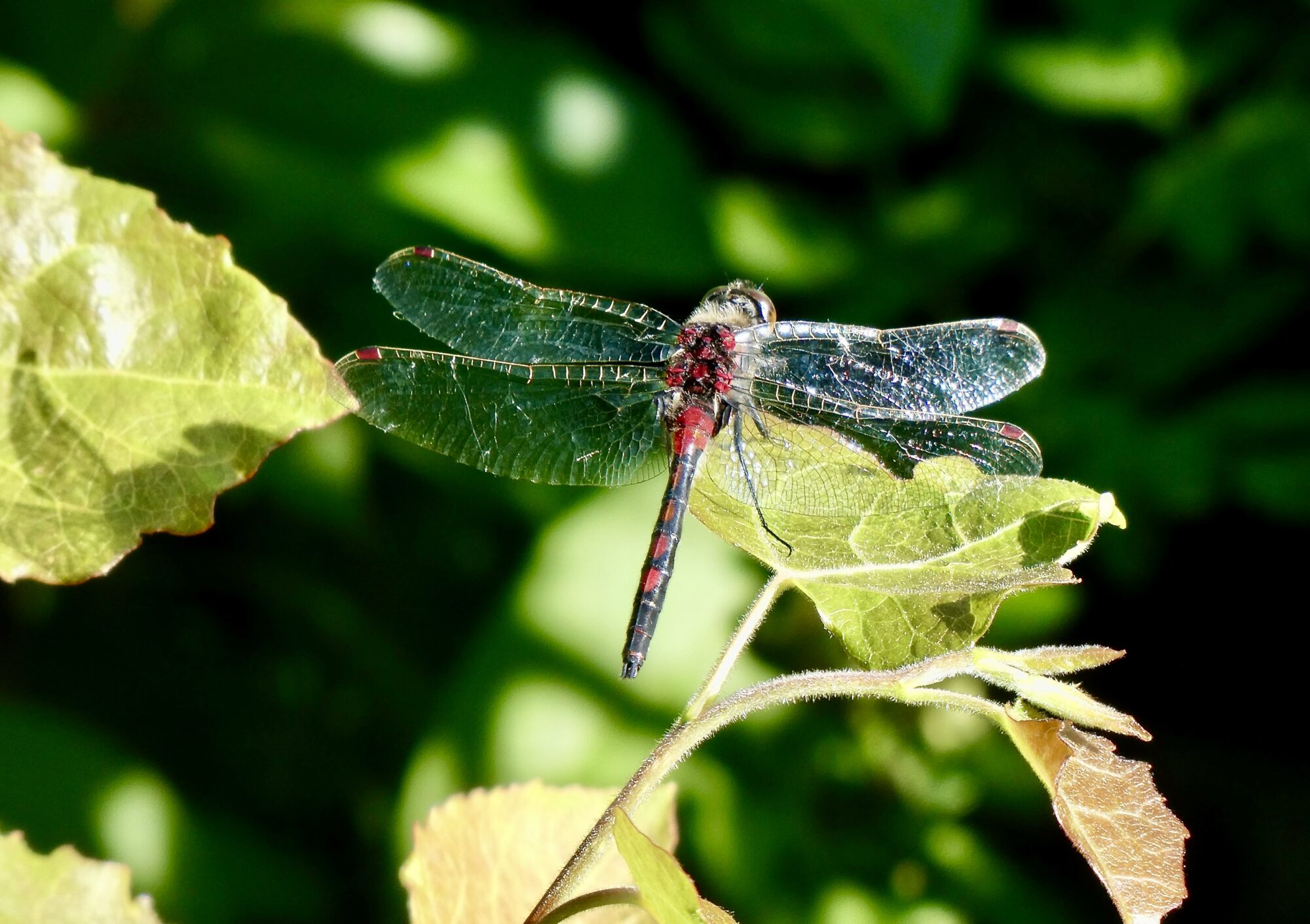 Valokuvaaja: Liisa Niiva-Korpela Valokuvaaja: Liisa Niiva-Korpela