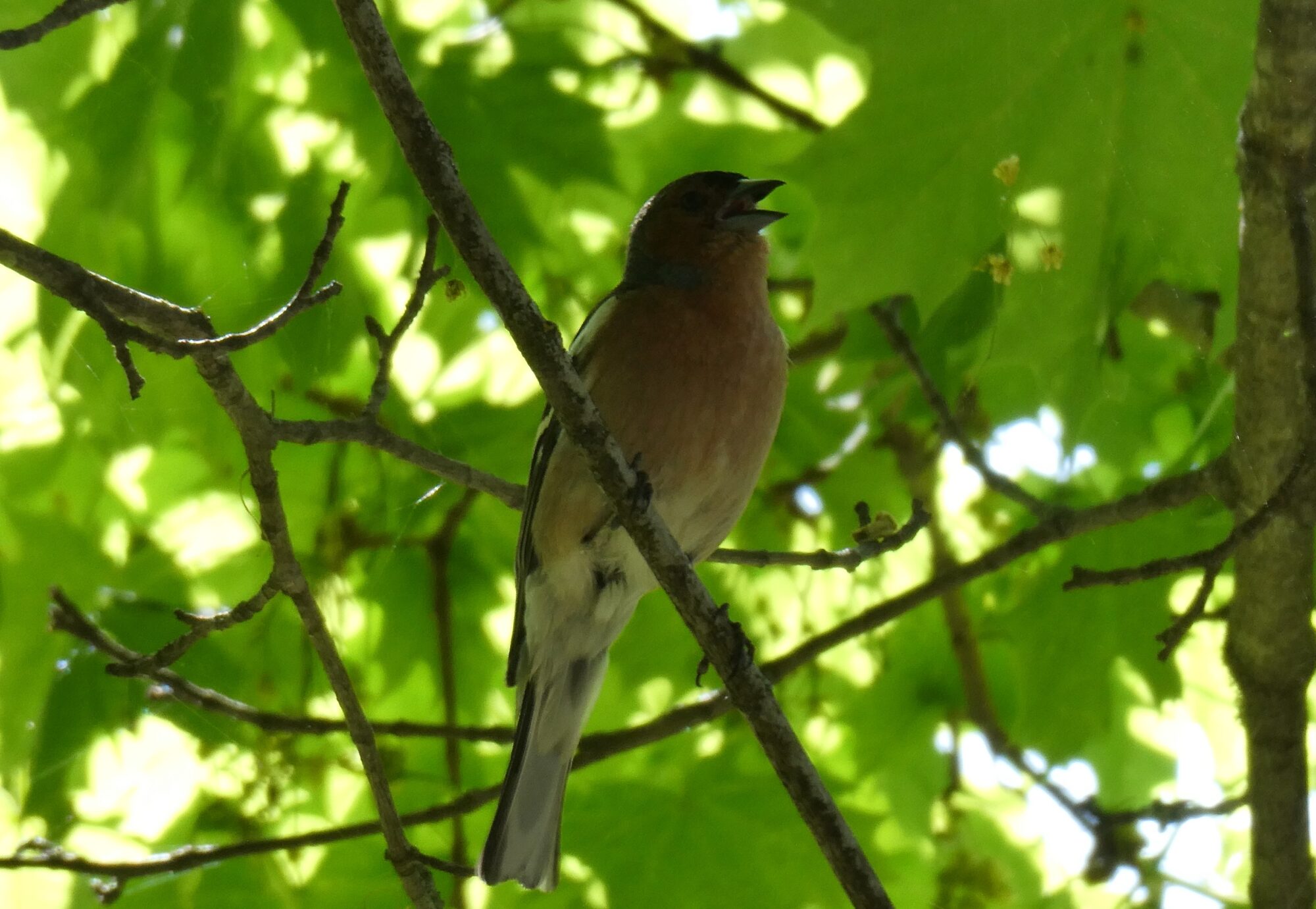 Valokuvaaja: Liisa Niiva-Korpela