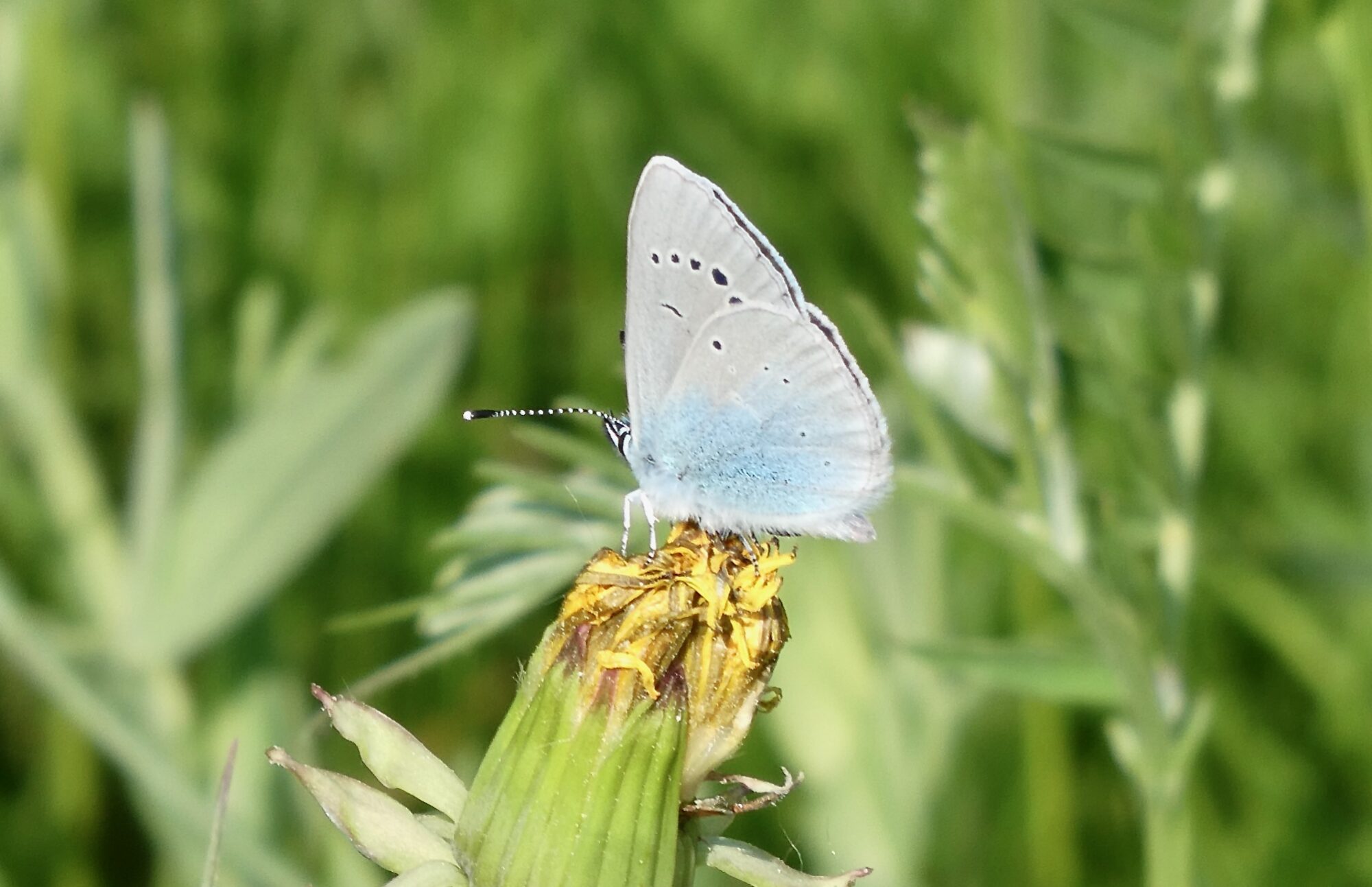 Valokuvaaja: Liisa Niiva-Korpela