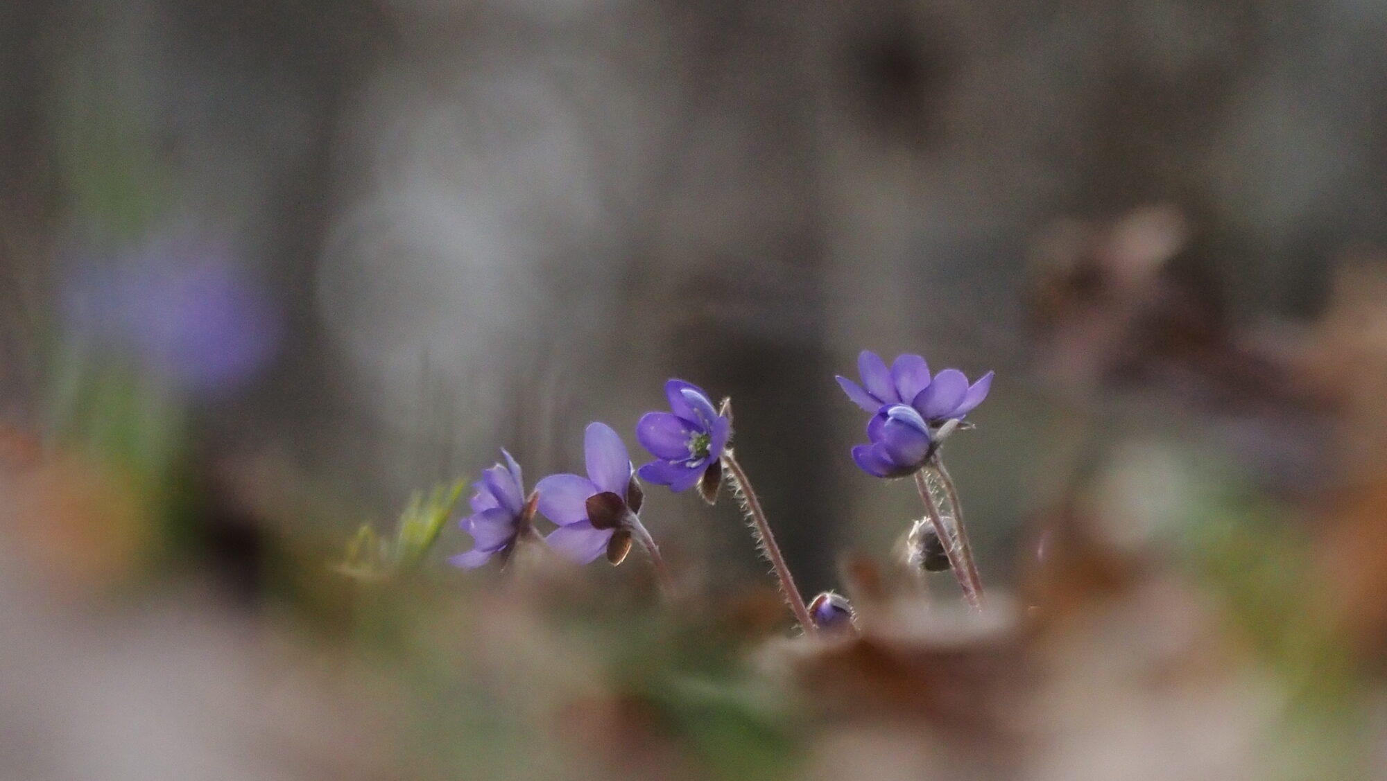 Valokuvaaja: Arja Valtonen