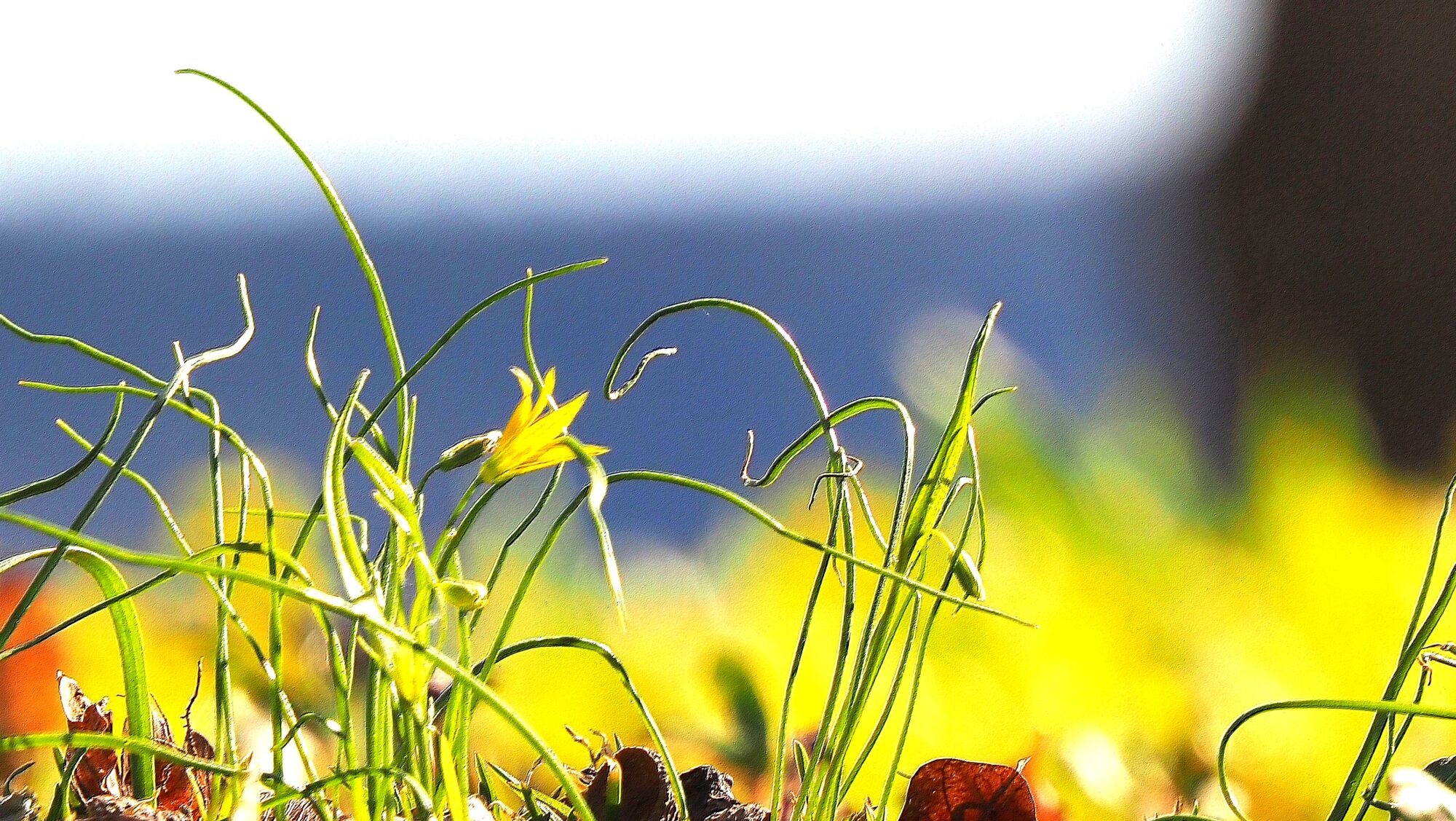 Valokuvaaja: Arja Valtonen