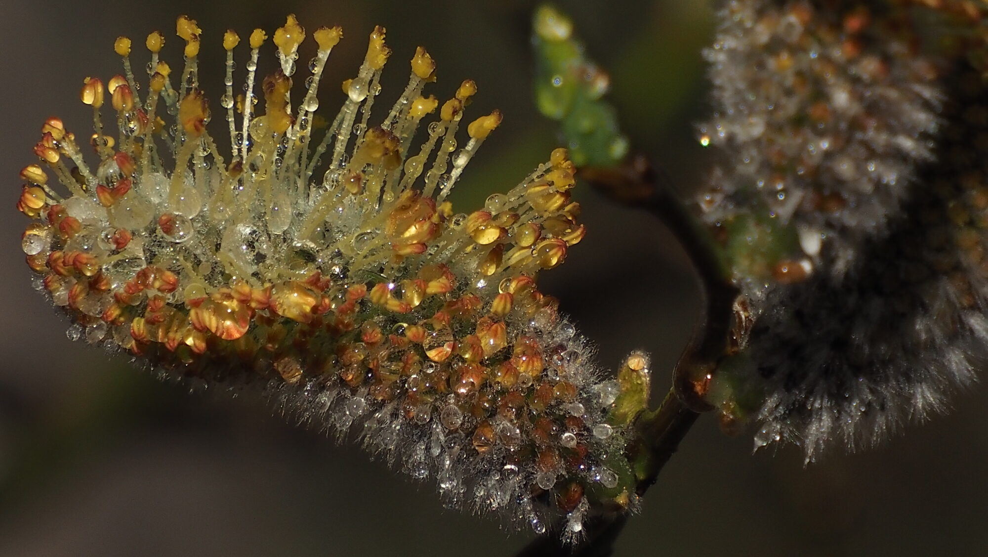 Valokuvaaja: Arja Valtonen