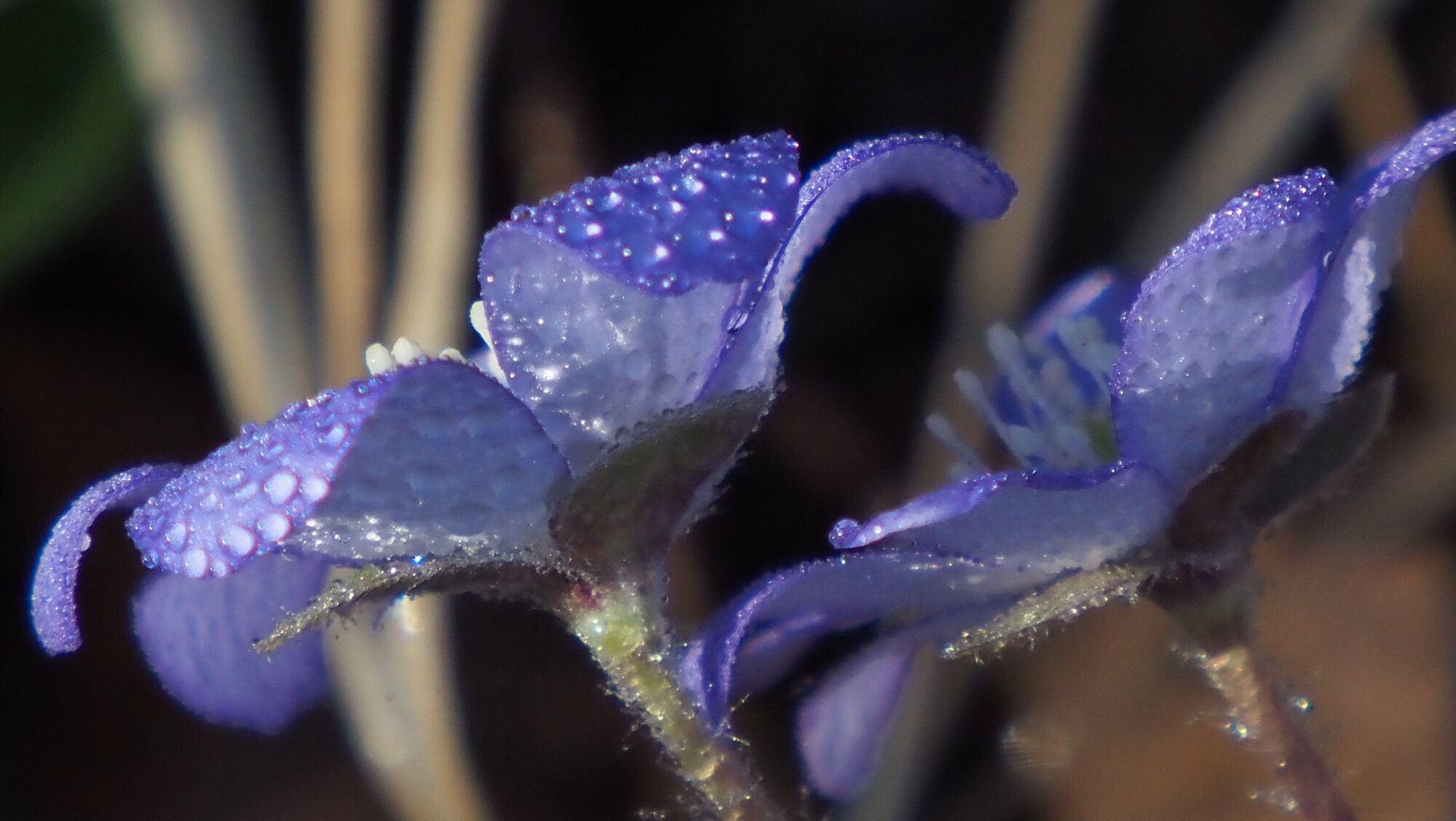 Valokuvaaja: Arja Valtonen