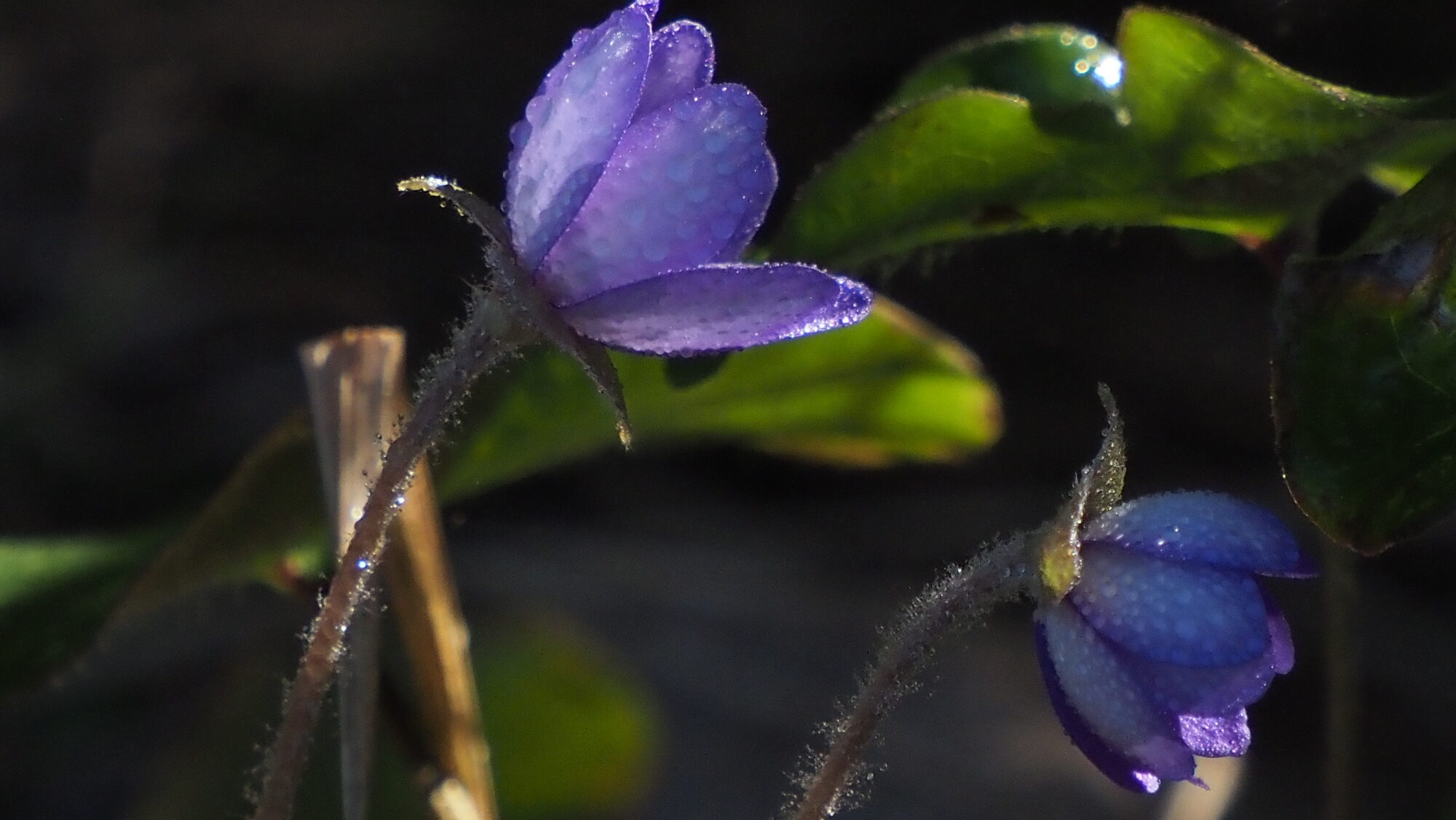 Valokuvaaja: Arja Valtonen