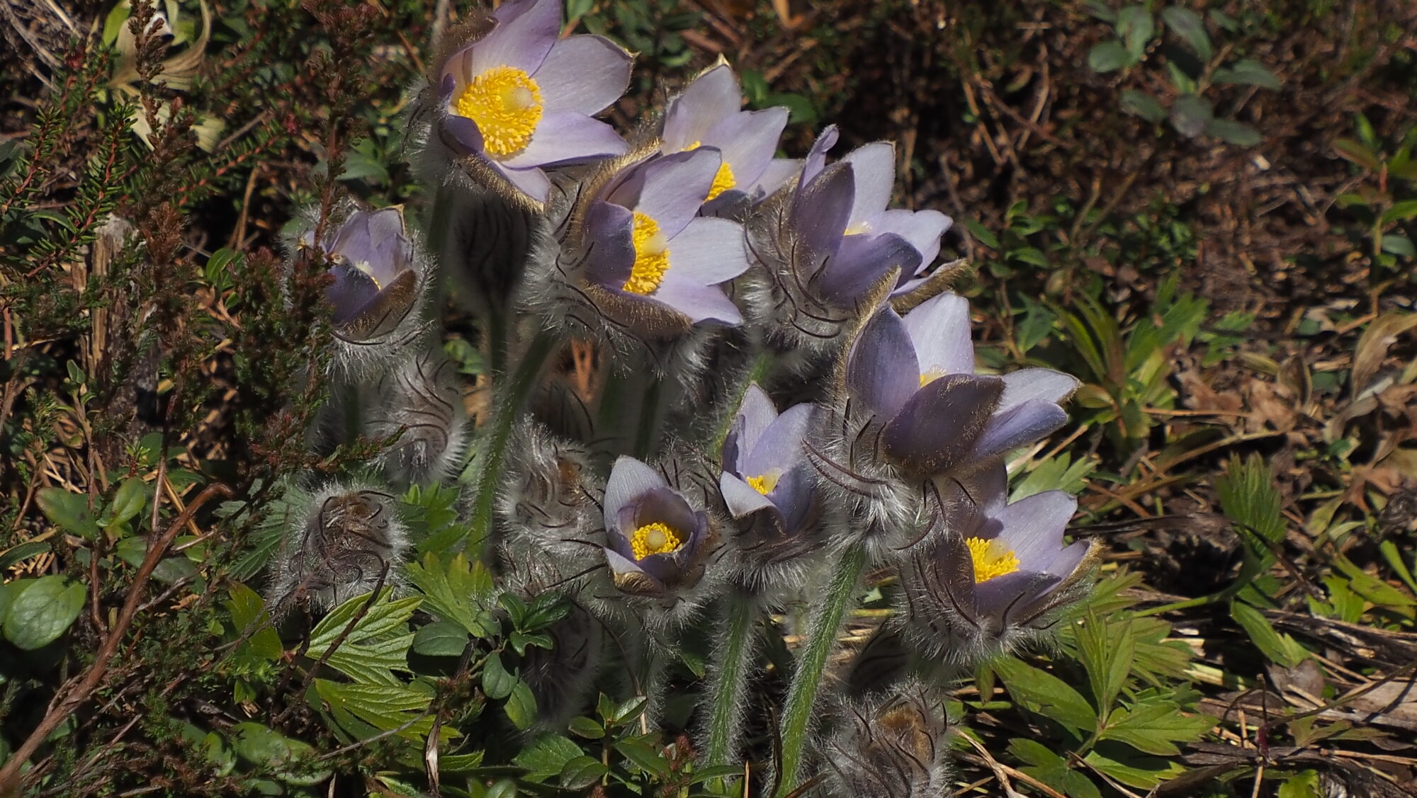 Valokuvaaja: Arja Valtonen