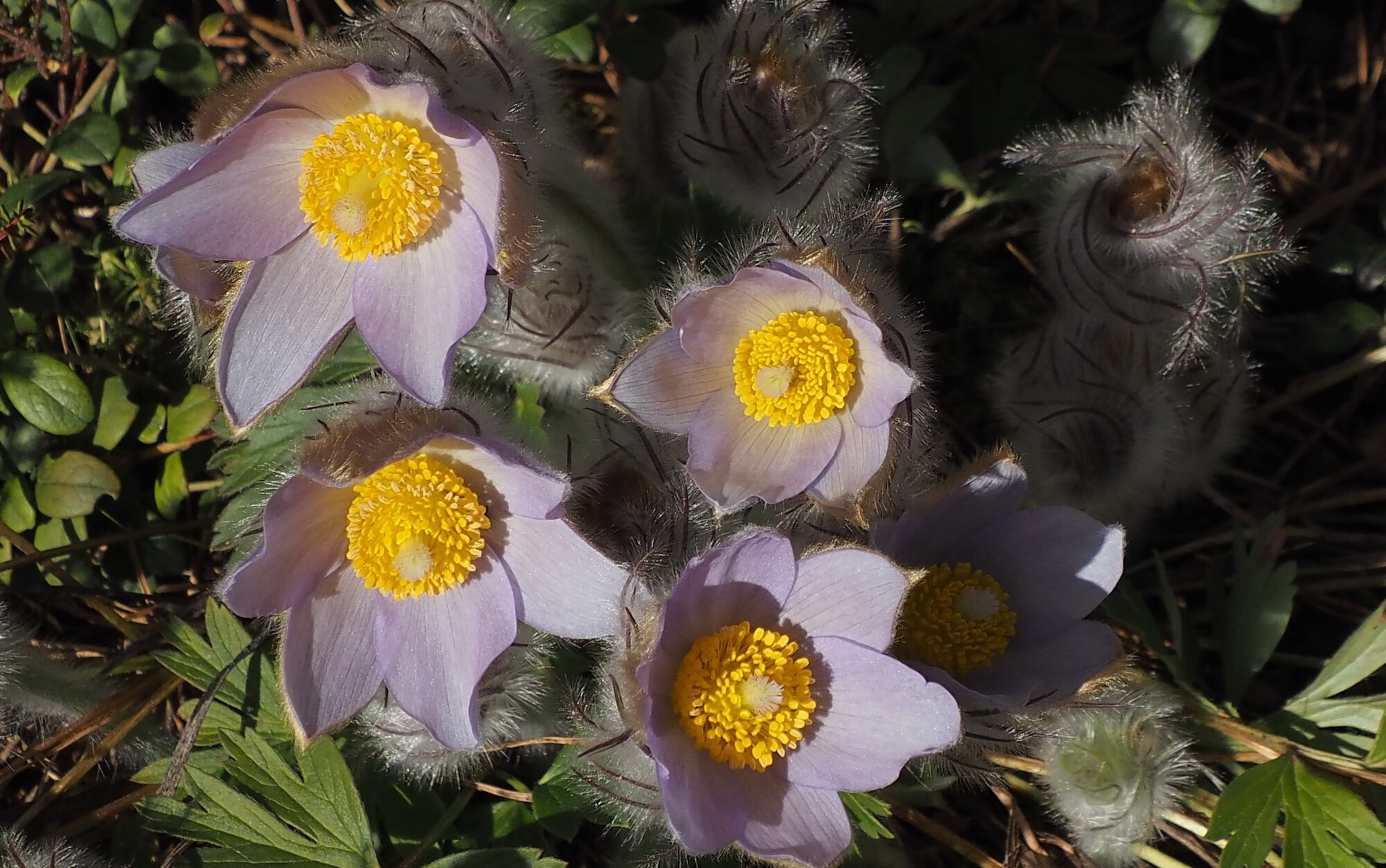 Valokuvaaja: Arja Valtonen