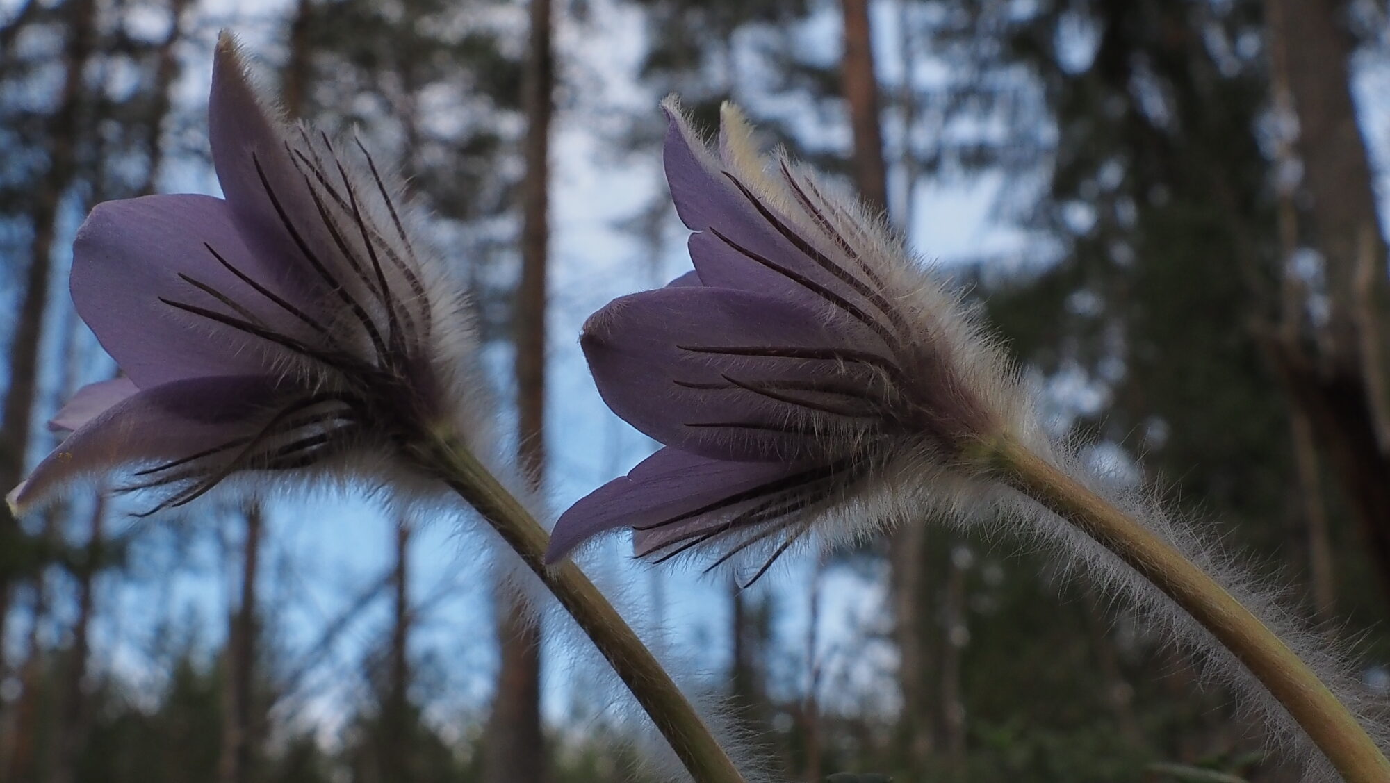 Valokuvaaja: Arja Valtonen