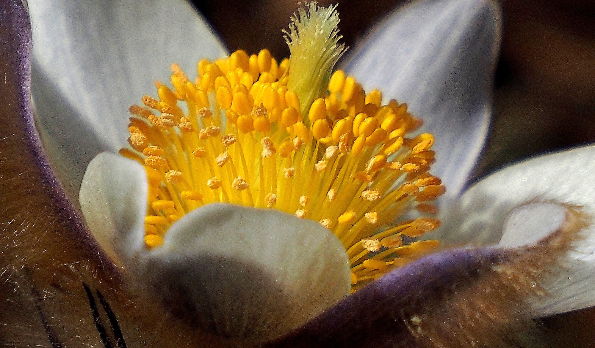 Valokuvaaja: Arja Valtonen Valokuvaaja: Arja Valtonen