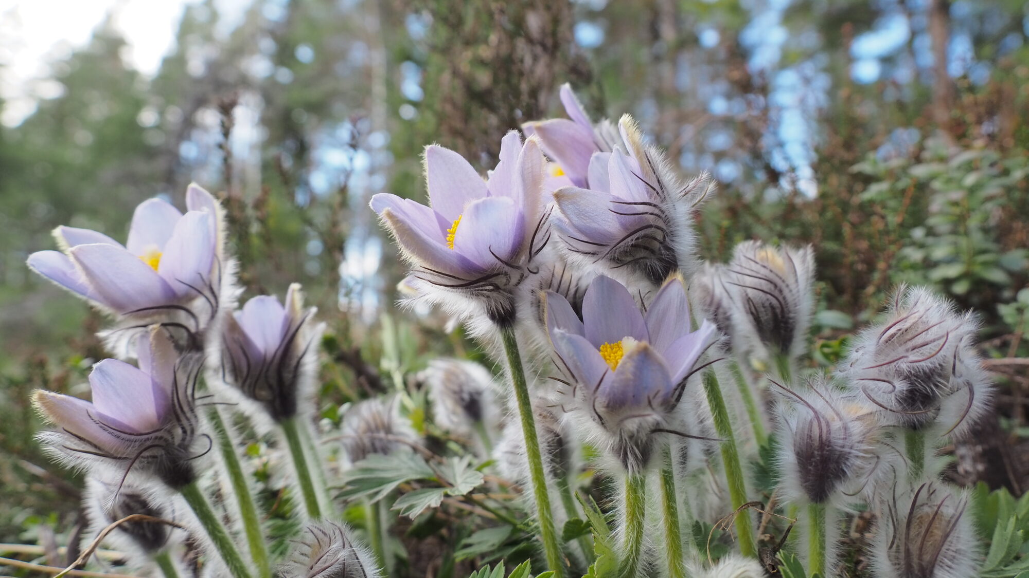 Valokuvaaja: Martti Valtonen Valokuvaaja: Martti Valtonen