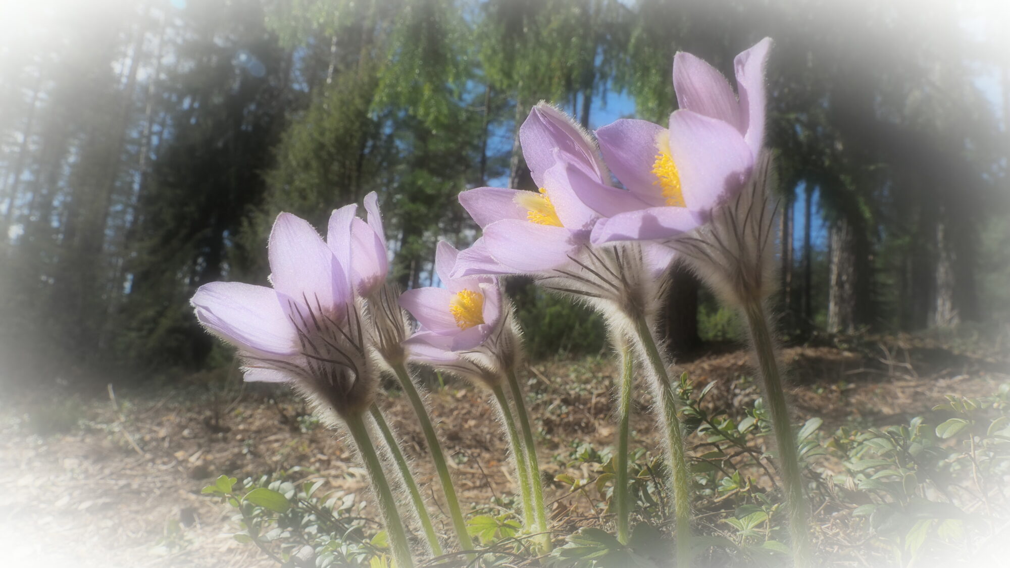 Valokuvaaja: Martti Valtonen