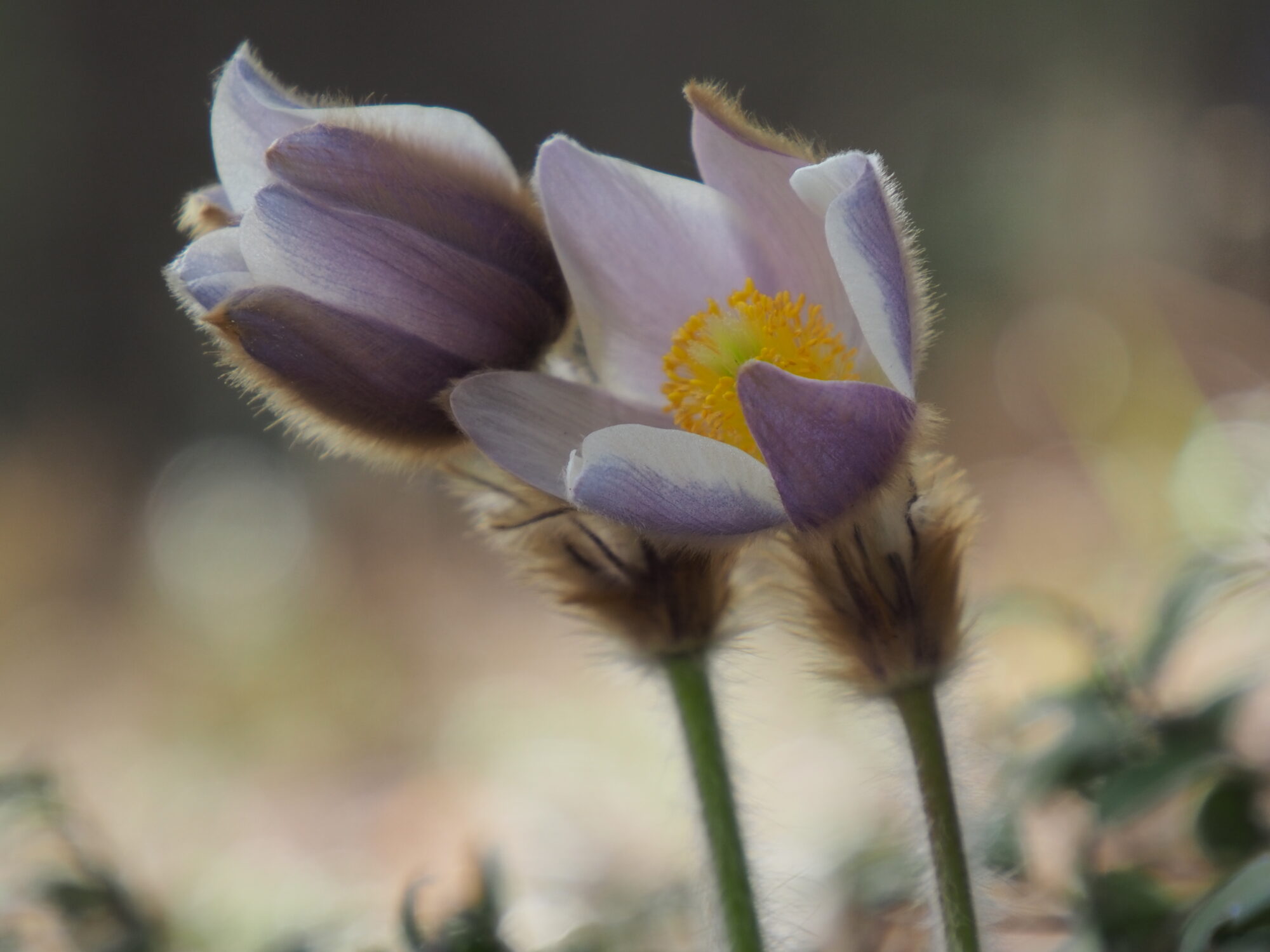 Valokuvaaja: Martti Valtonen