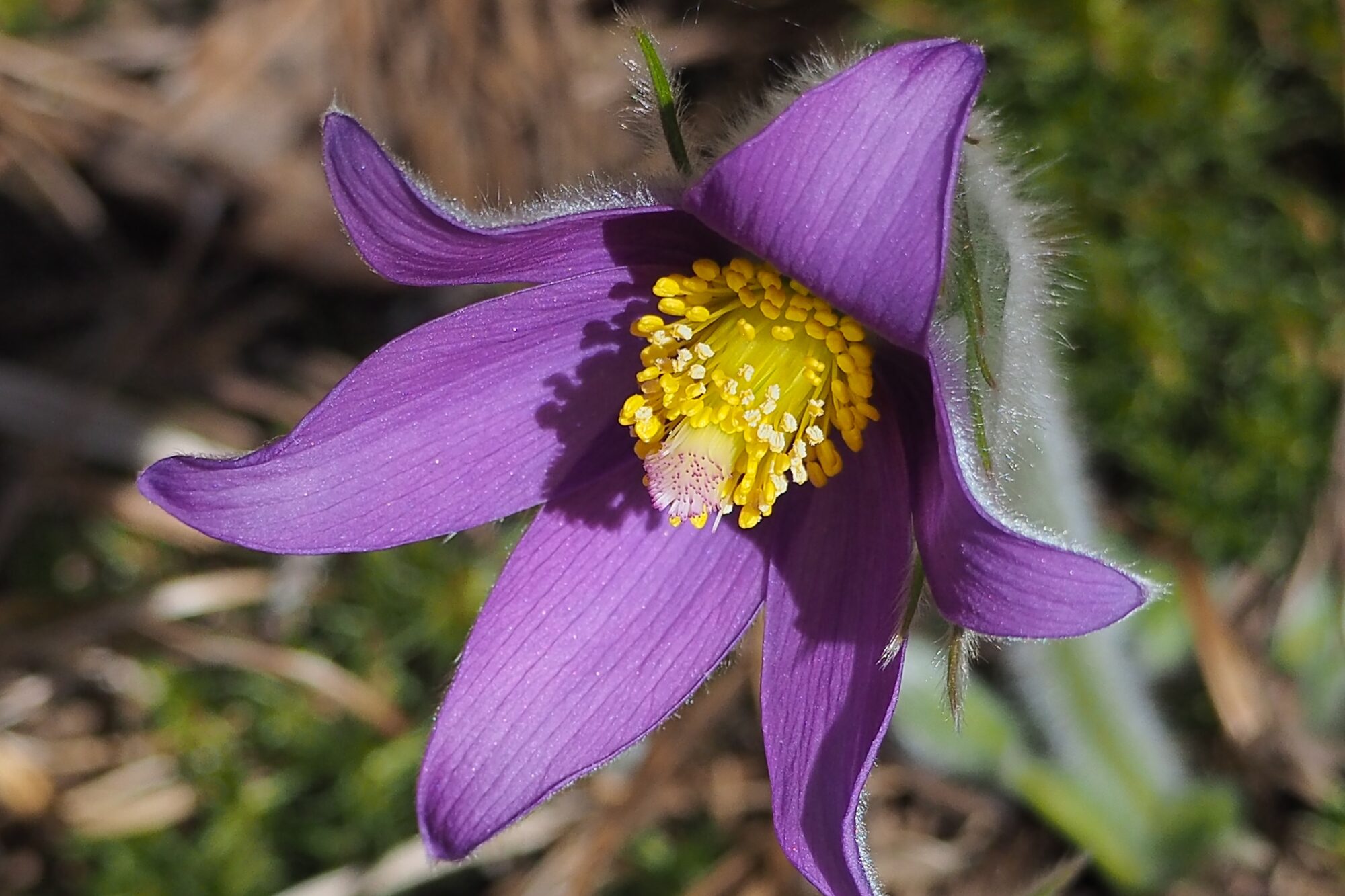 Valokuvaaja: Martti Valtonen