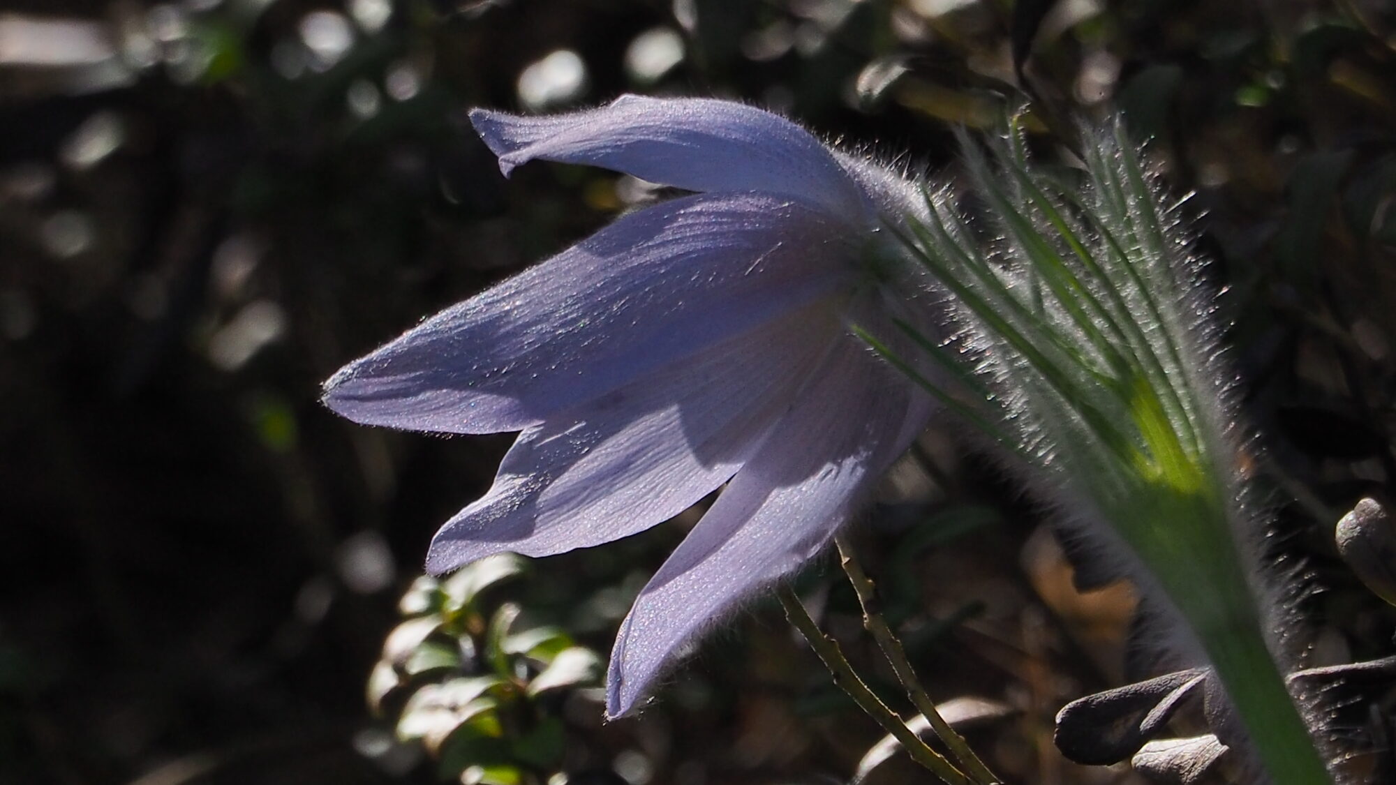 Valokuvaaja: Martti Valtonen