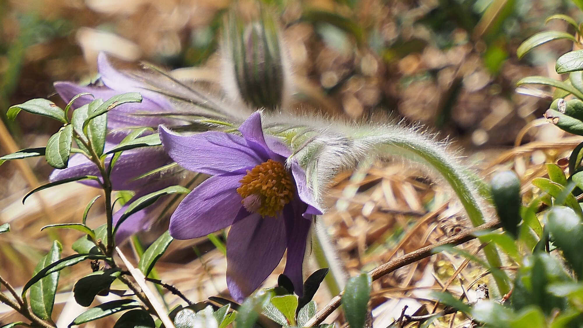 Valokuvaaja: Arja Valtonen Valokuvaaja: Arja Valtonen