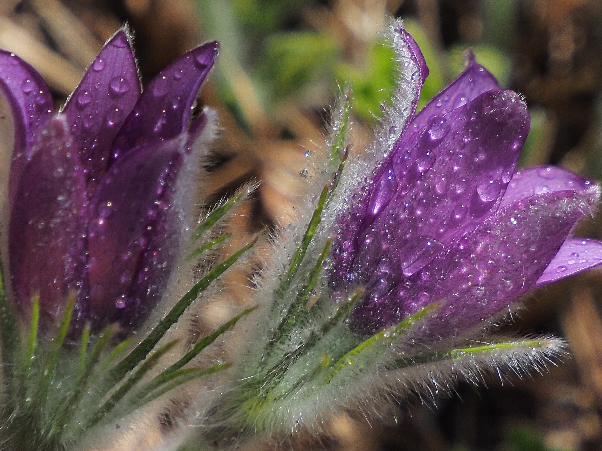 Valokuvaaja: Arja Valtonen Valokuvaaja: Arja Valtonen