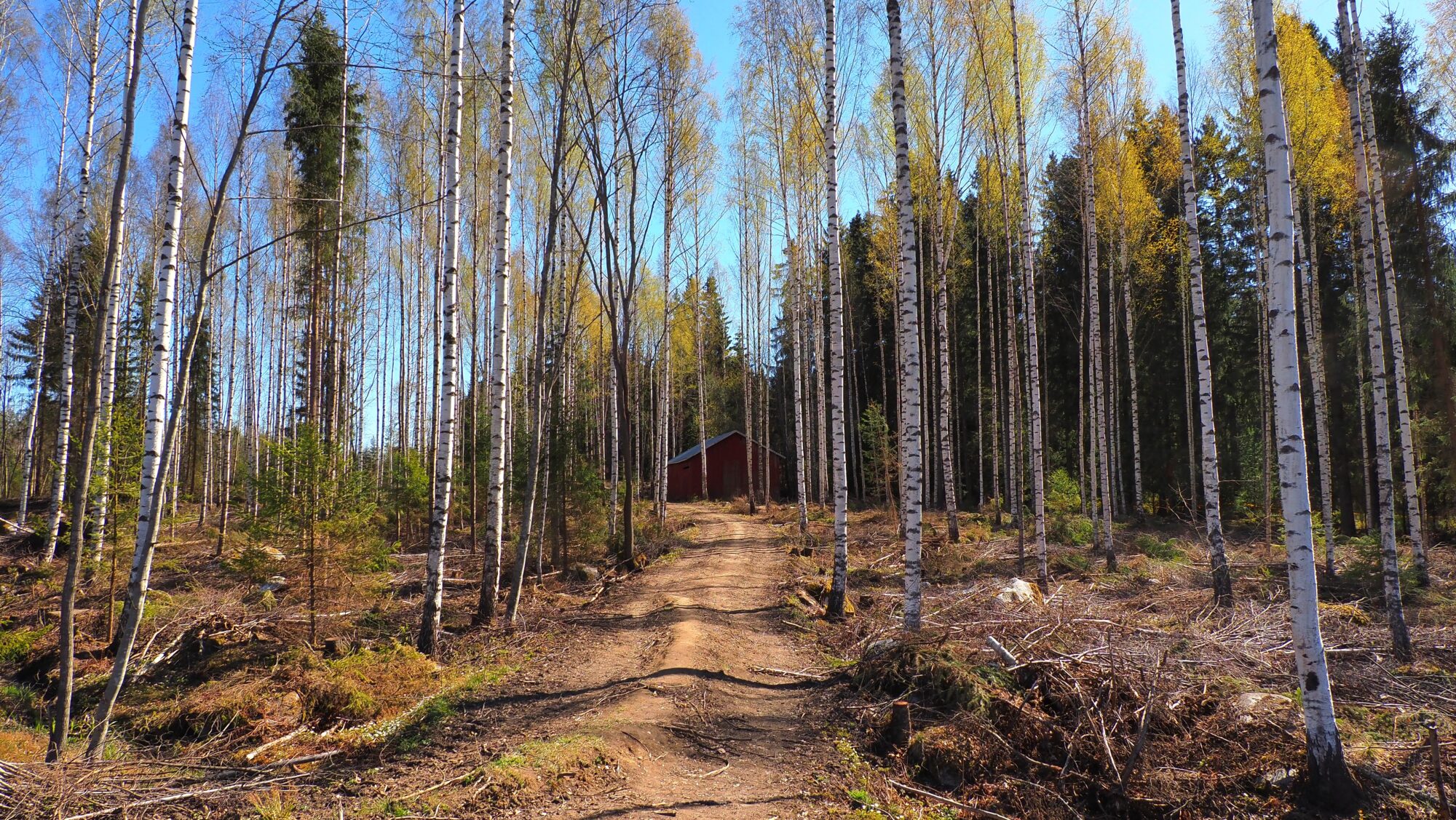 Valokuvaaja: Arja Valtonen