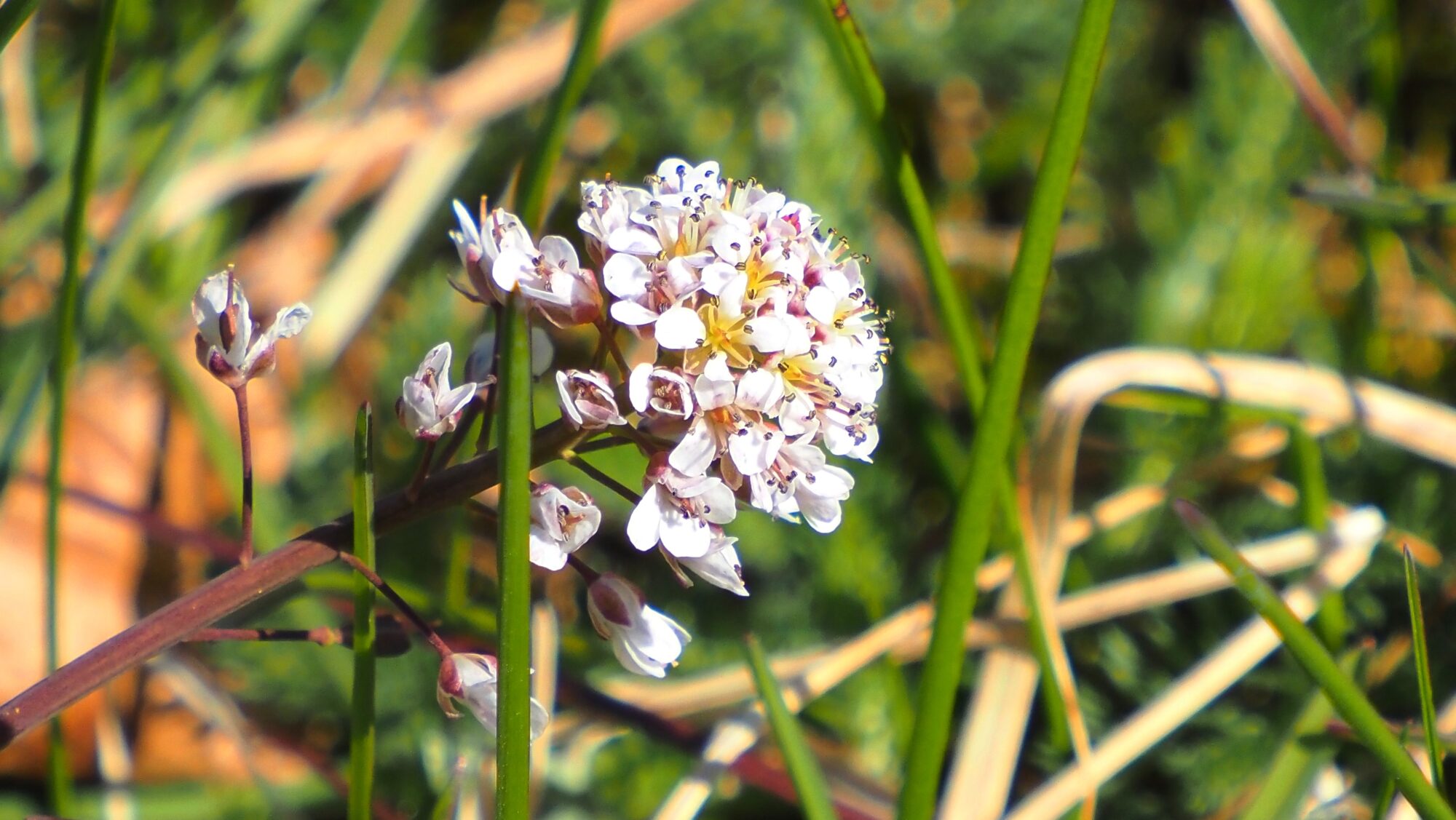 Valokuvaaja: Arja Valtonen