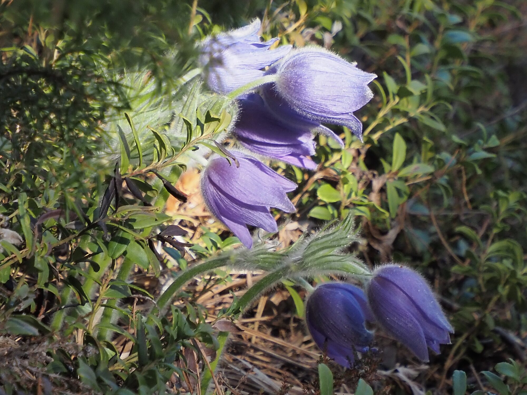 Valokuvaaja: Arja Valtonen Valokuvaaja: Arja Valtonen