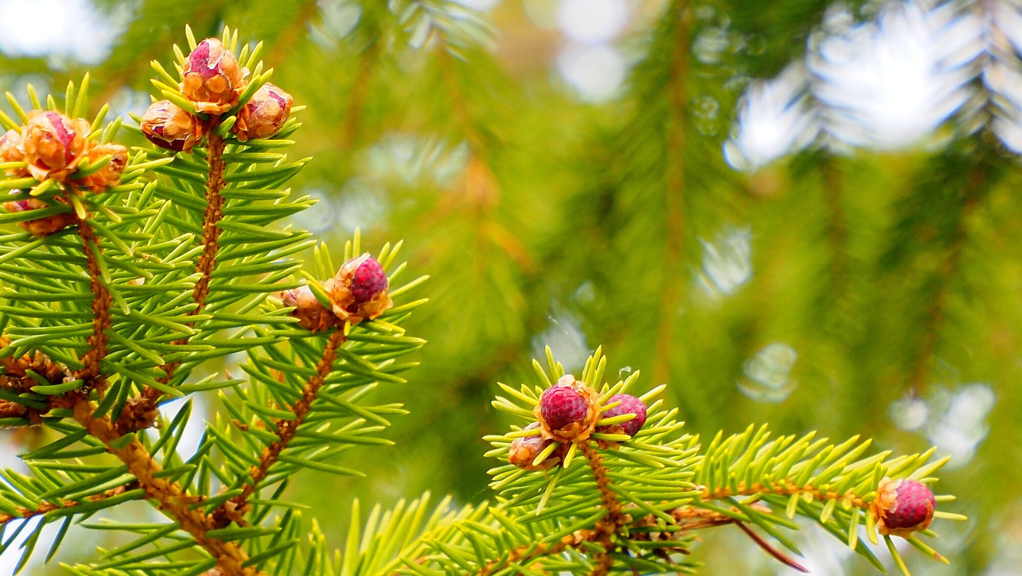 Valokuvaaja: Arja Valtonen