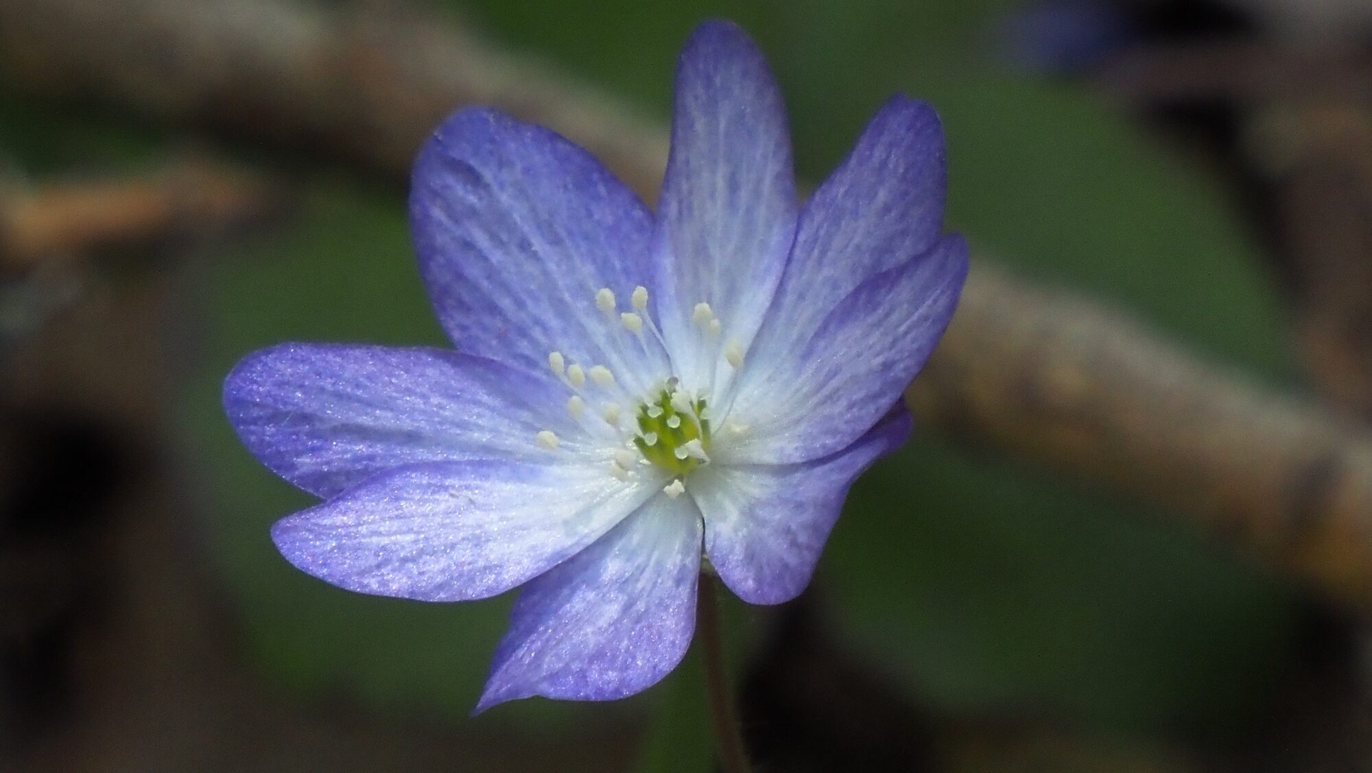 Valokuvaaja: Arja Valtonen