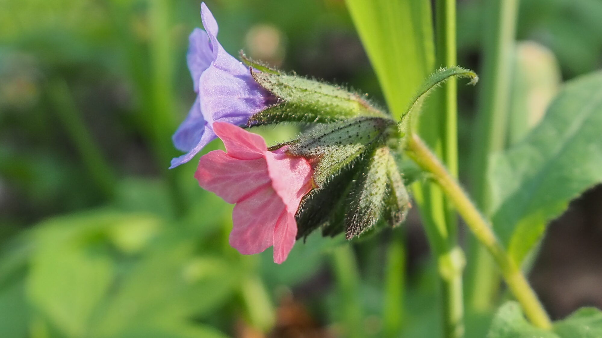 Valokuvaaja: Martti Valtonen