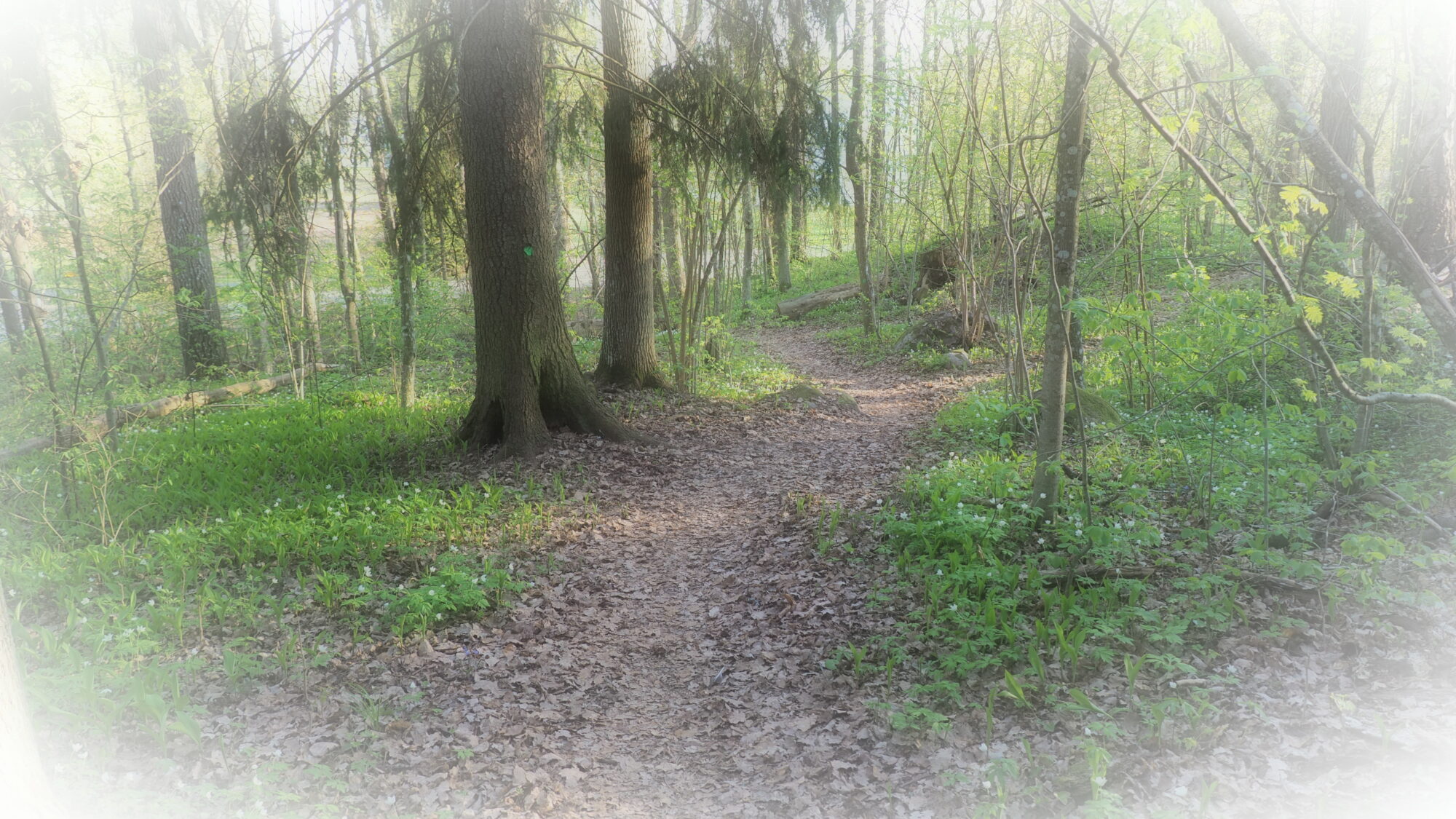 Valokuvaaja: Martti Valtonen