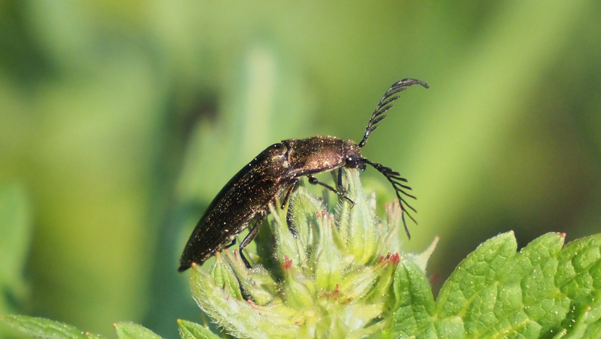 Valokuvaaja: Arja Valtonen