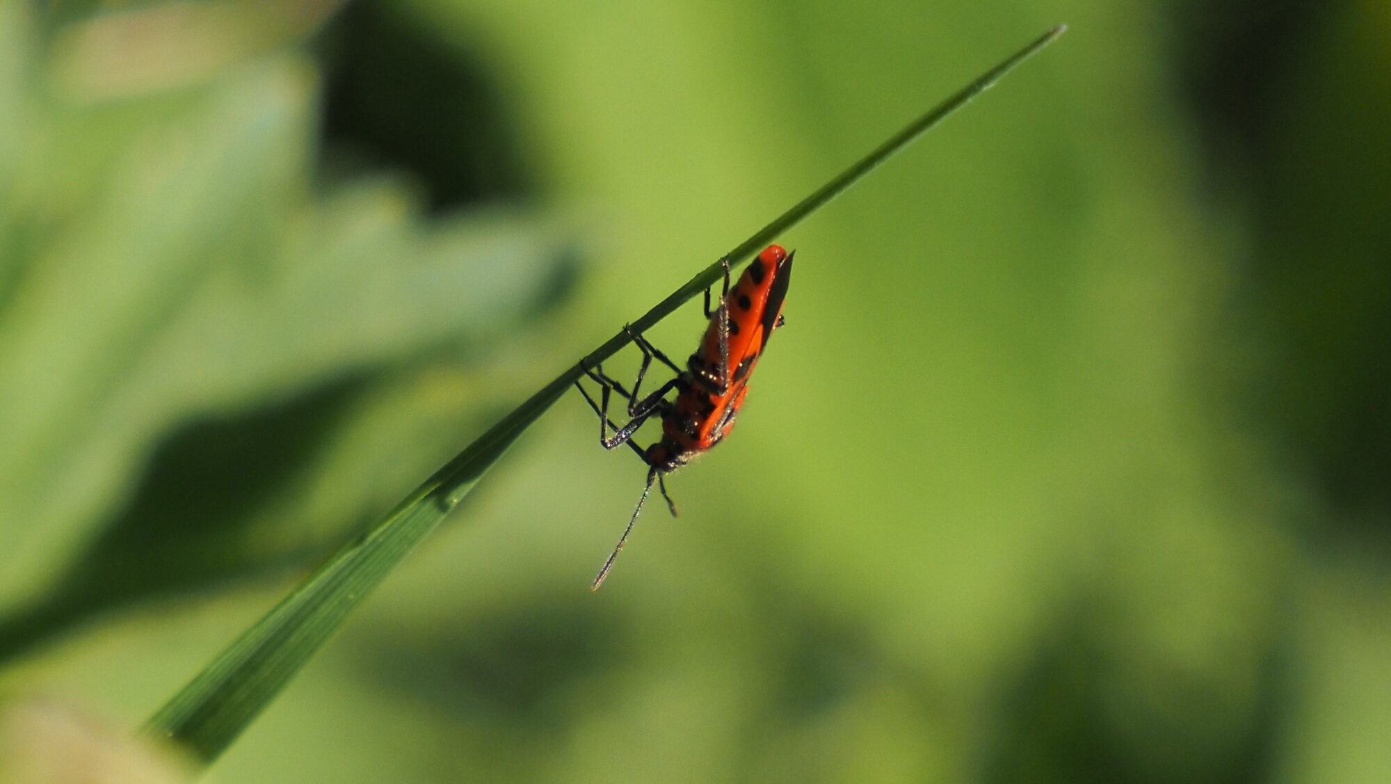 Valokuvaaja: Arja Valtonen