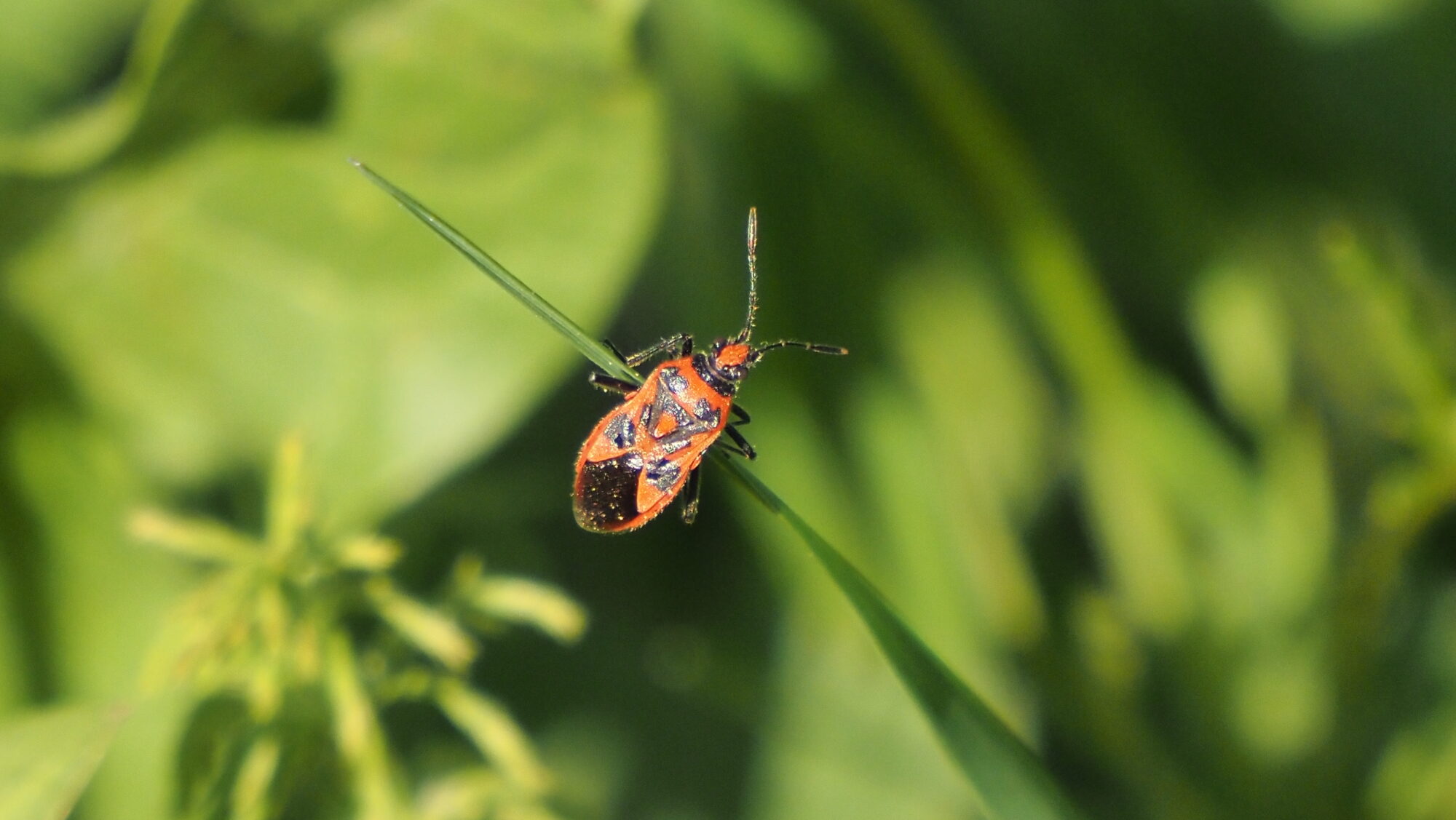 Valokuvaaja: Arja Valtonen