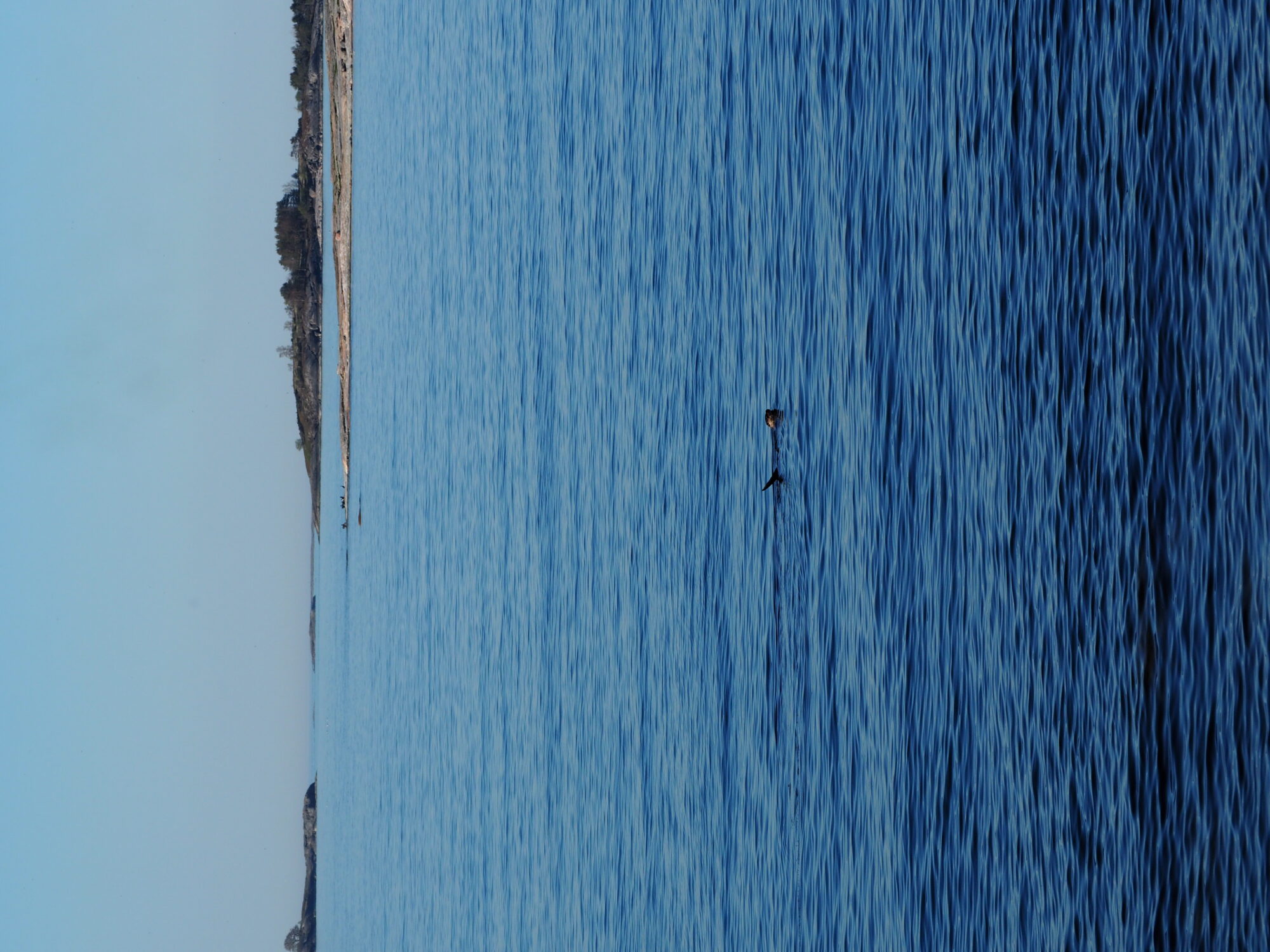 Valokuvaaja: Meri Paronen Valokuvaaja: Meri Paronen