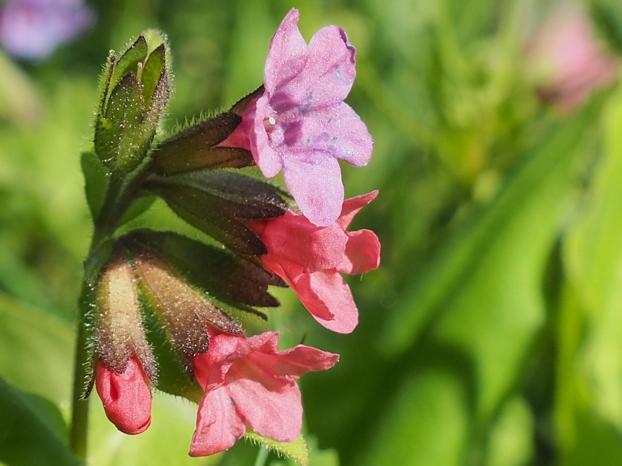 Valokuvaaja: Martti Valtonen