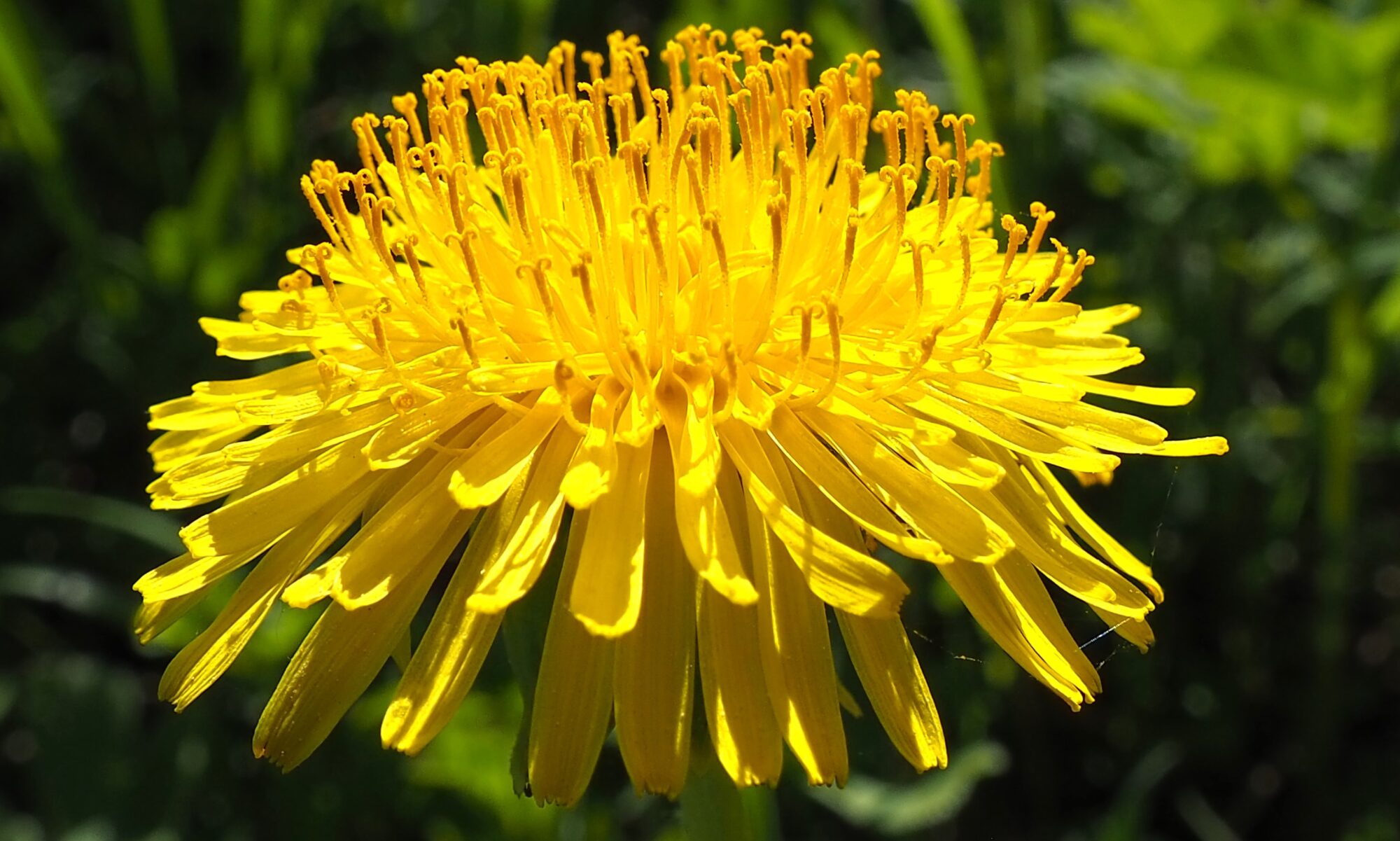 Valokuvaaja: Martti Valtonen