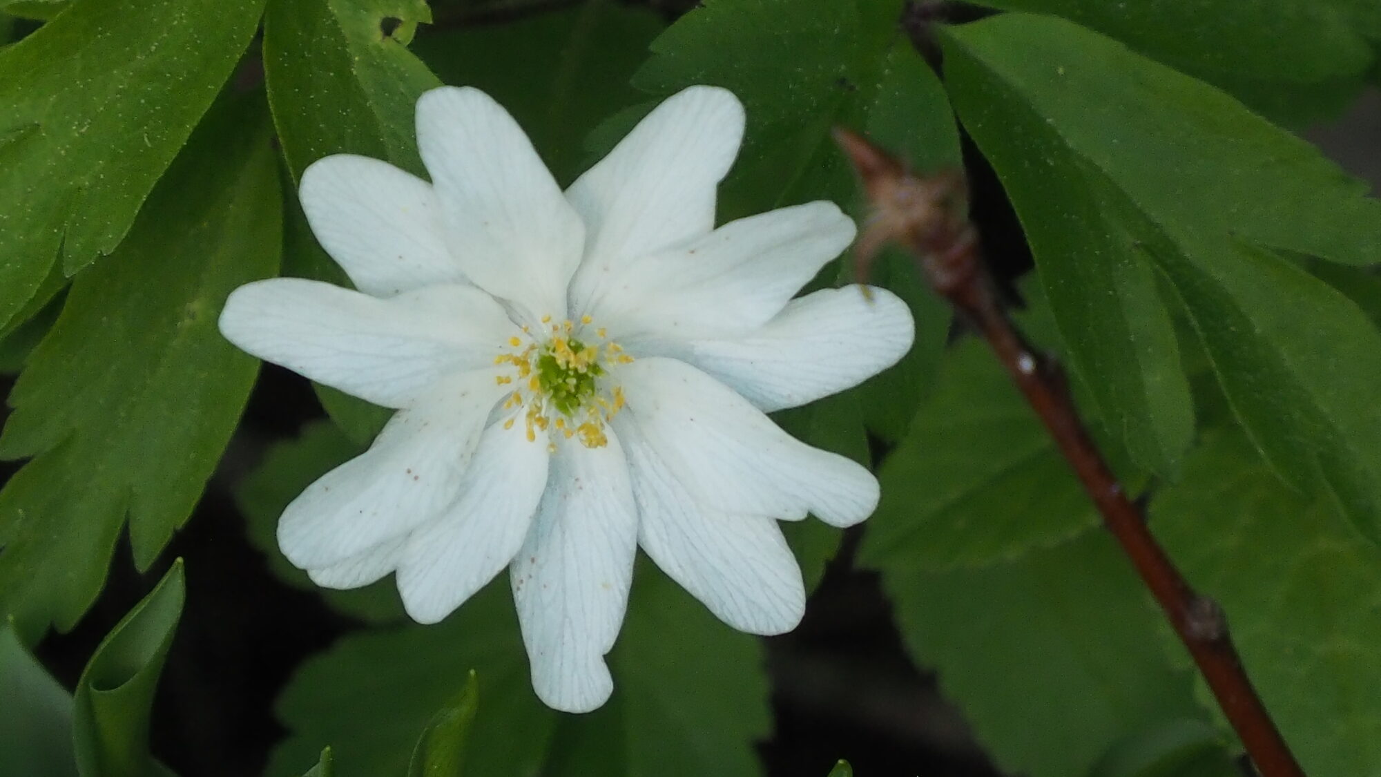 Valokuvaaja: Martti Valtonen