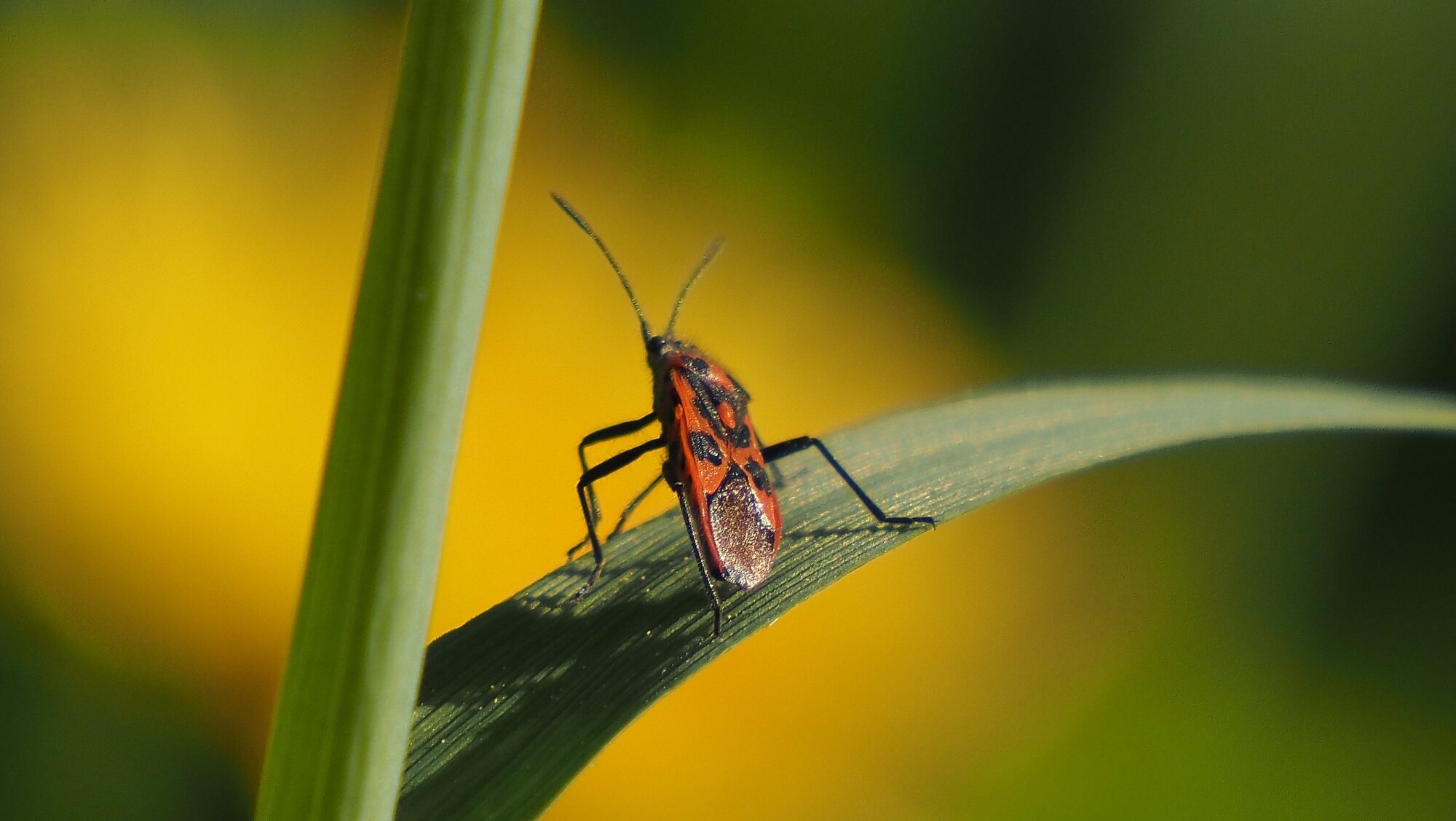 Valokuvaaja: Arja Valtonen