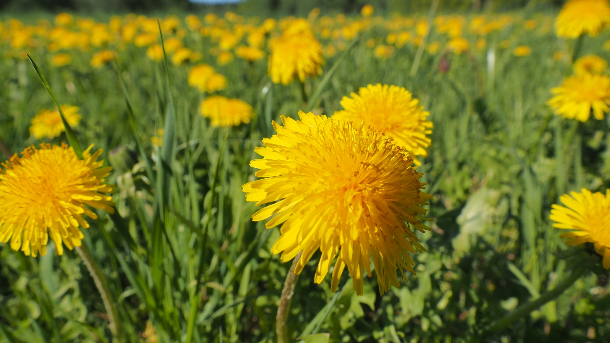Valokuvaaja: Martti Valtonen