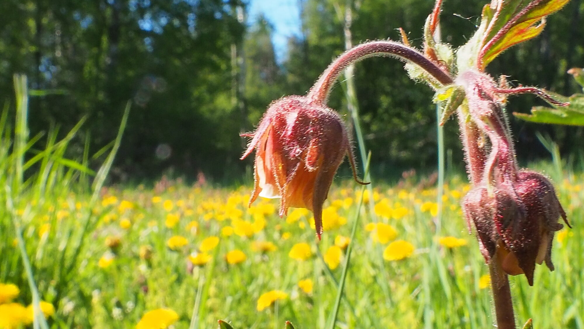 Valokuvaaja: Martti Valtonen