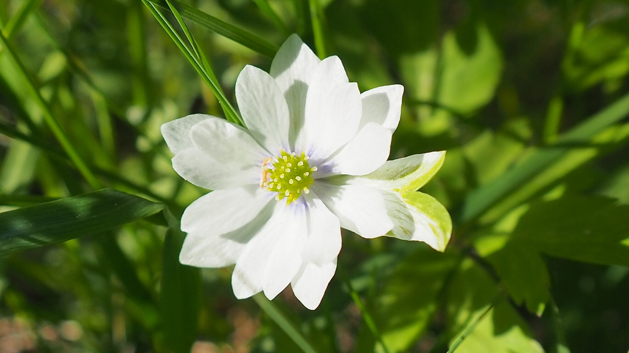 Valokuvaaja: Martti Valtonen Valokuvaaja: Martti Valtonen