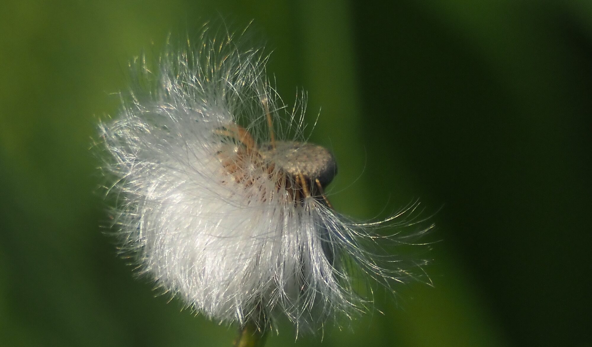 Valokuvaaja: Arja Valtonen