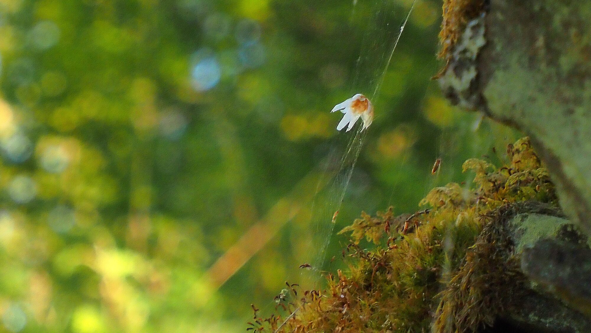 Valokuvaaja: Arja Valtonen