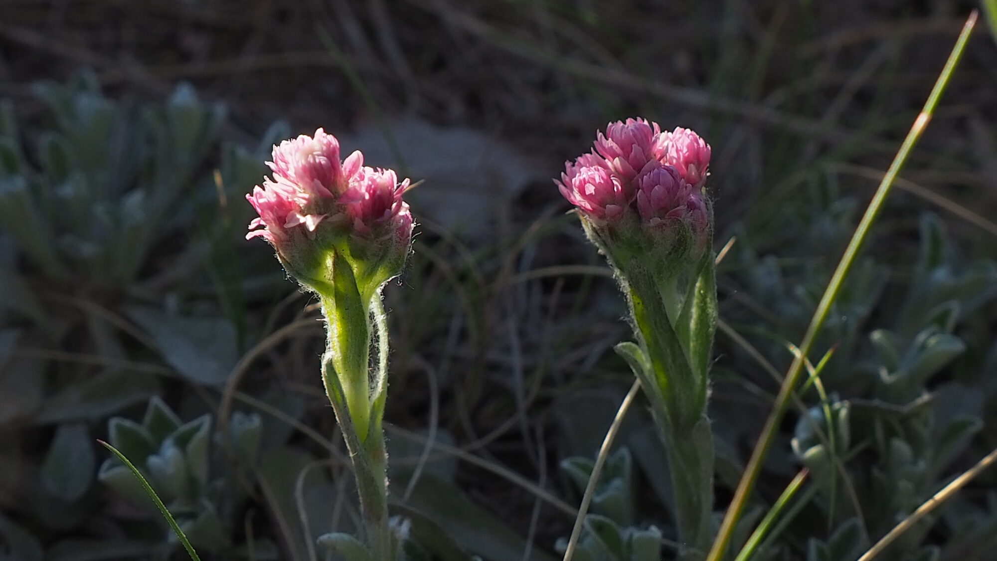 Valokuvaaja: Martti Valtonen