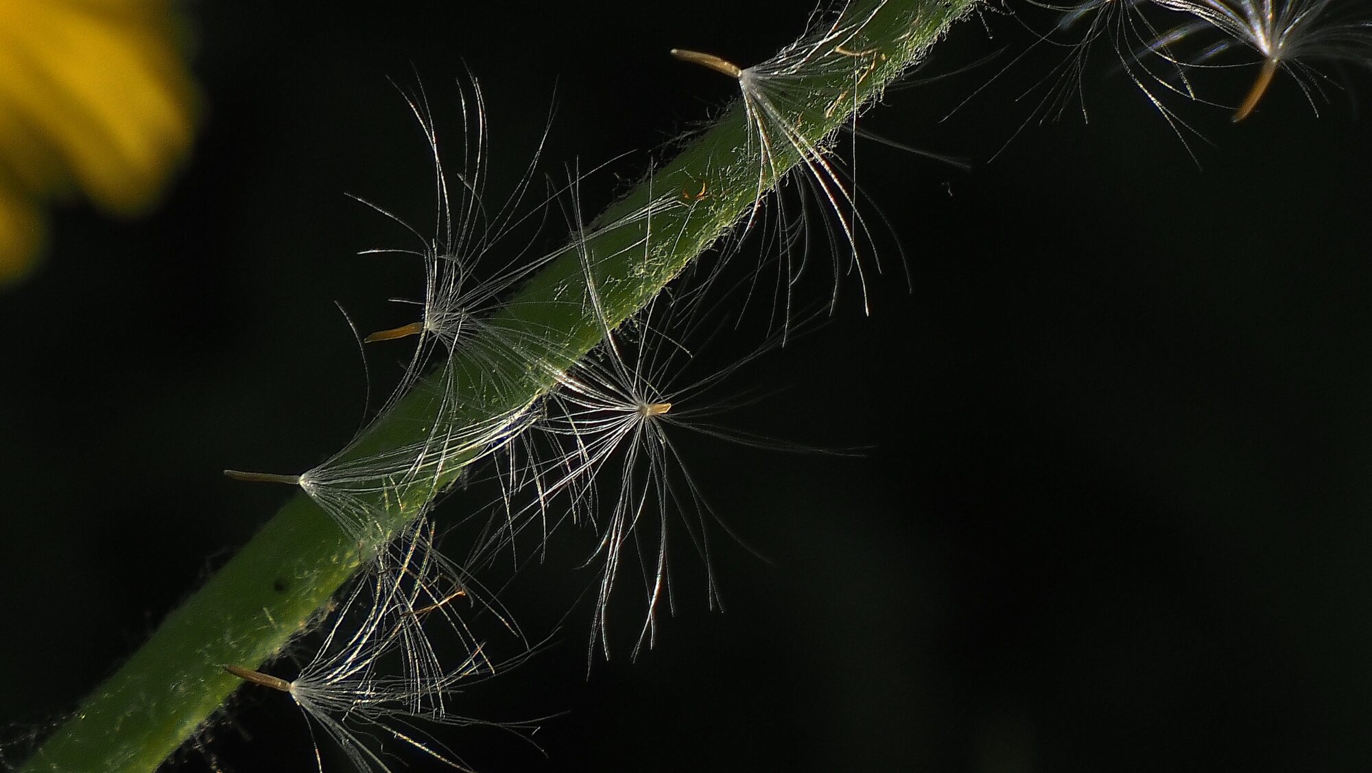 Valokuvaaja: Arja Valtonen