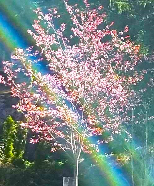 Valokuvaaja: Eira LAULAJAINEN