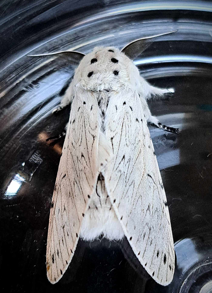 Valokuvaaja: Kaj Wuorisalo