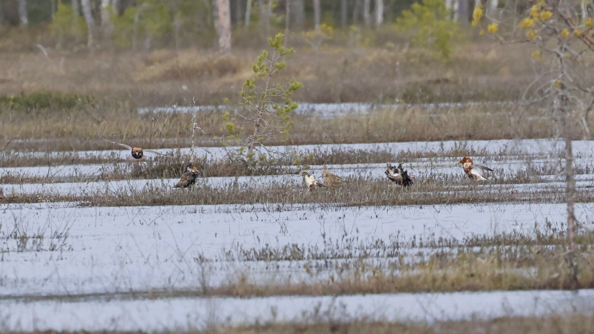 Valokuvaaja: TOMMI KUJALA