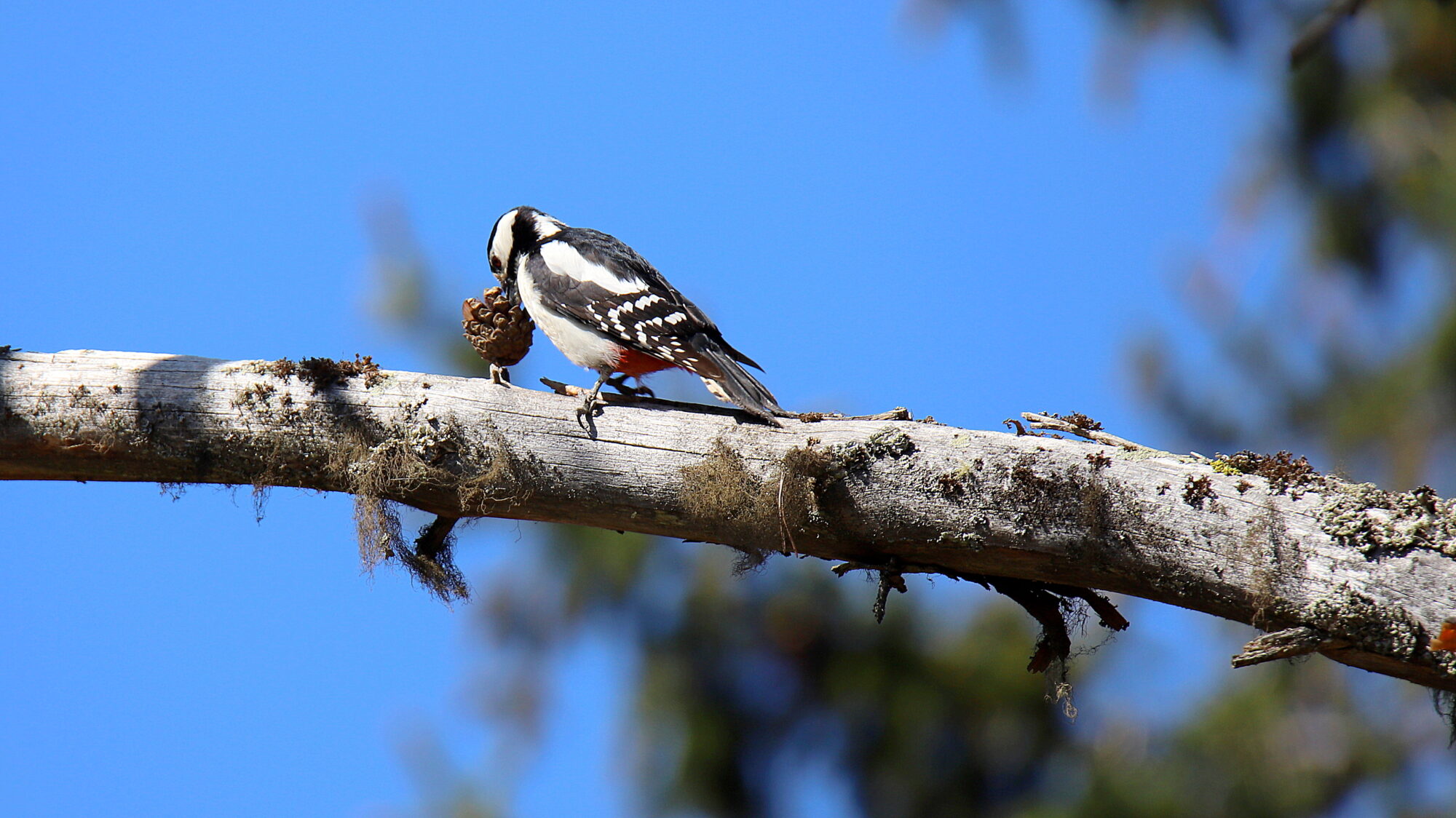 Valokuvaaja: sirpa Jyske