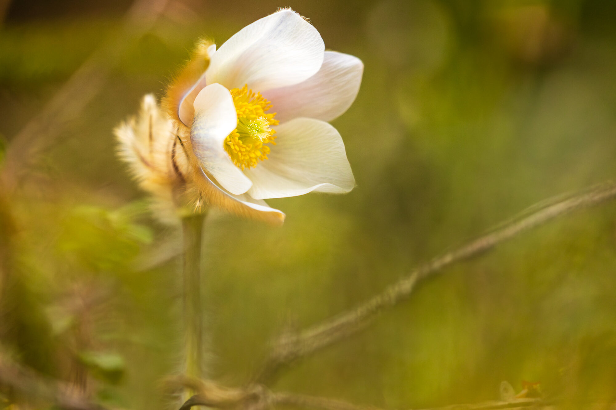 Valokuvaaja: Antti Toivanen