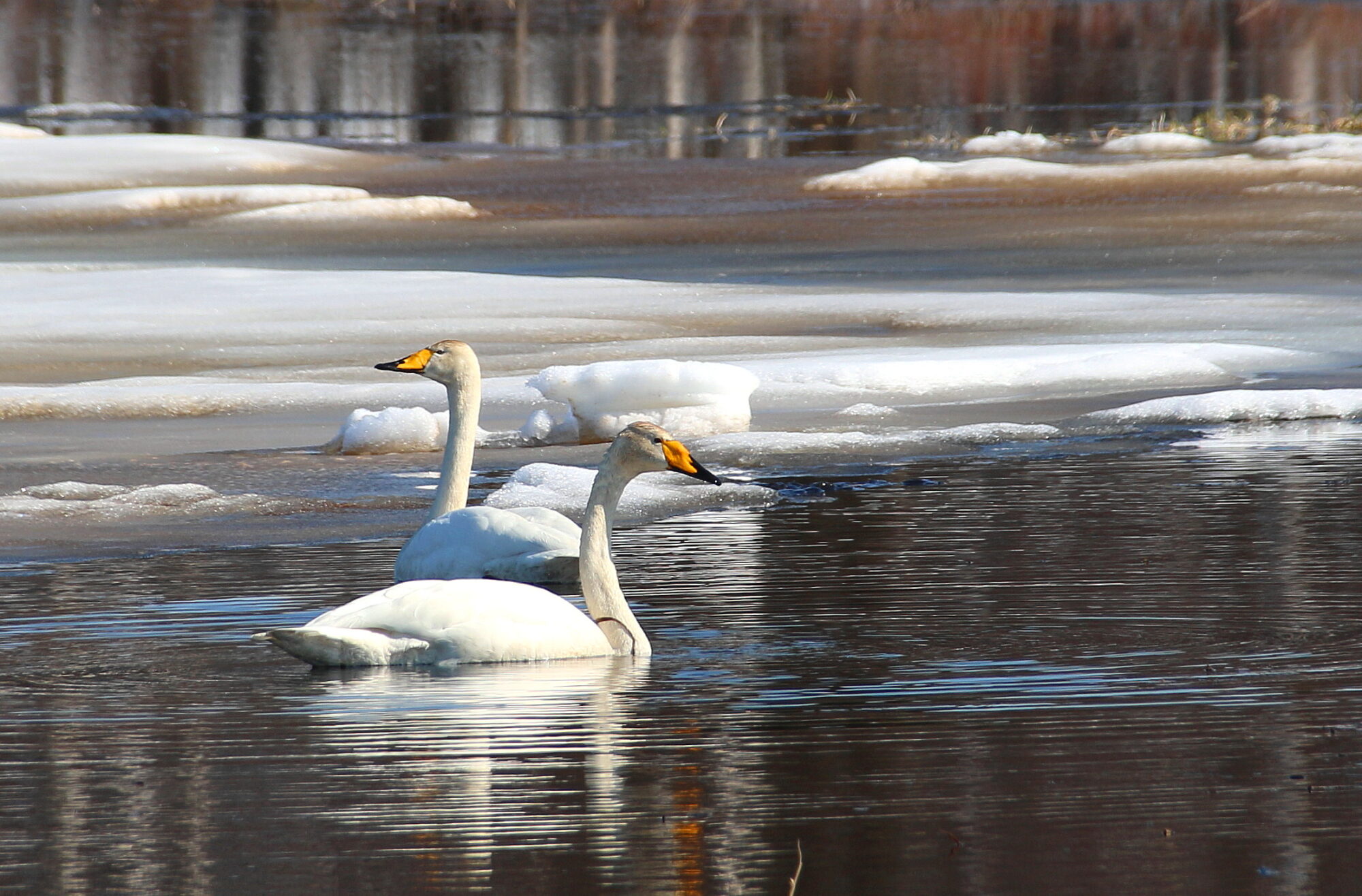 Valokuvaaja: Tuukka Pahtamaa